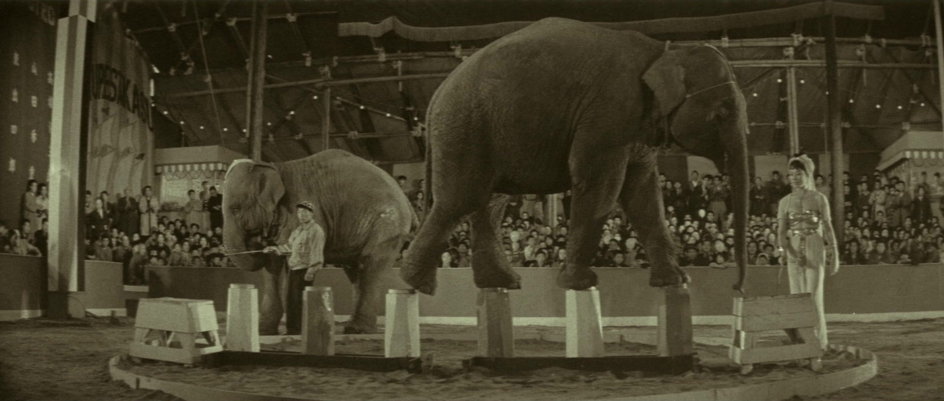 Kyôfu kikei ningen: Edogawa Rampo zenshû (1969), wide, 2.35:1 — film still
