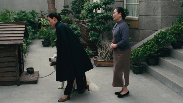 Wide shot frame from Se, jie — walking, dialogue, dog