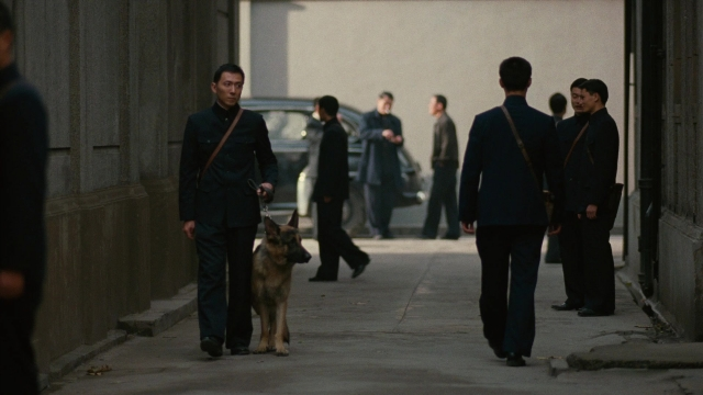 Wide shot frame from Se, jie — walking, street, dog