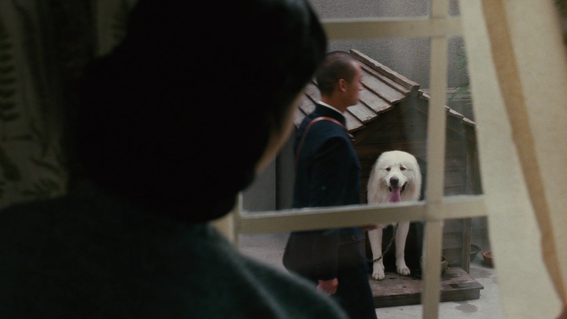 Se, jie (2007), wide, 1.78:1 — film still
