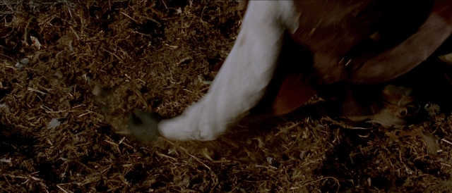 Per qualche dollaro in più — film still