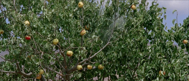 Per qualche dollaro in più — film still