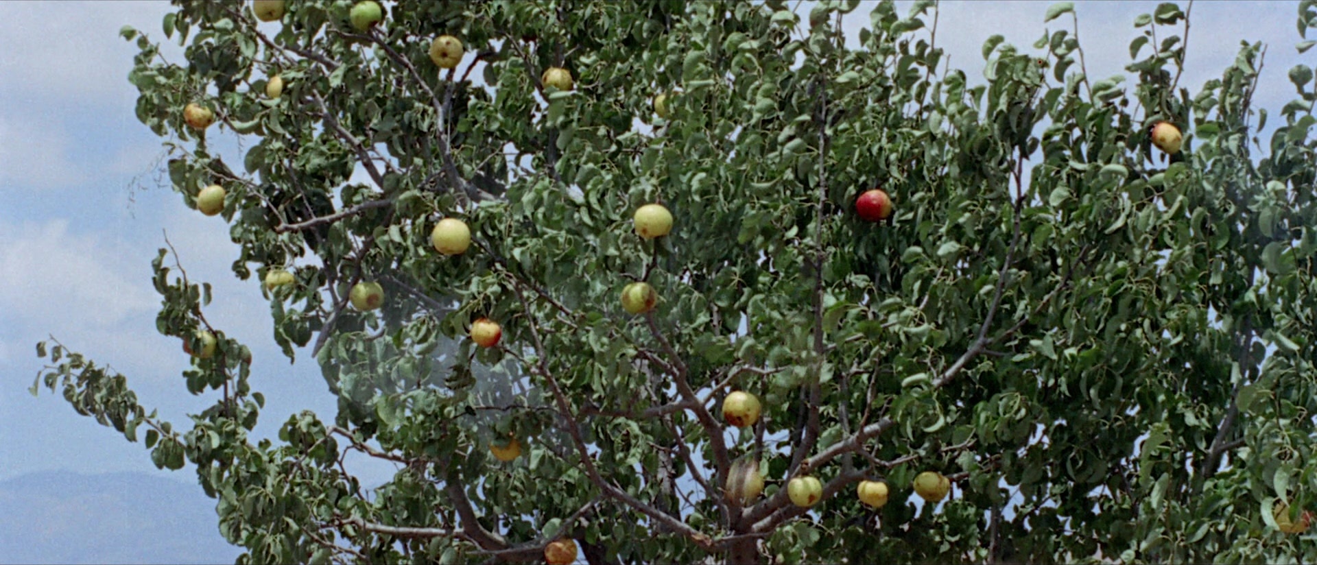 Per qualche dollaro in più (1965), wide, 2.33:1 — film still
