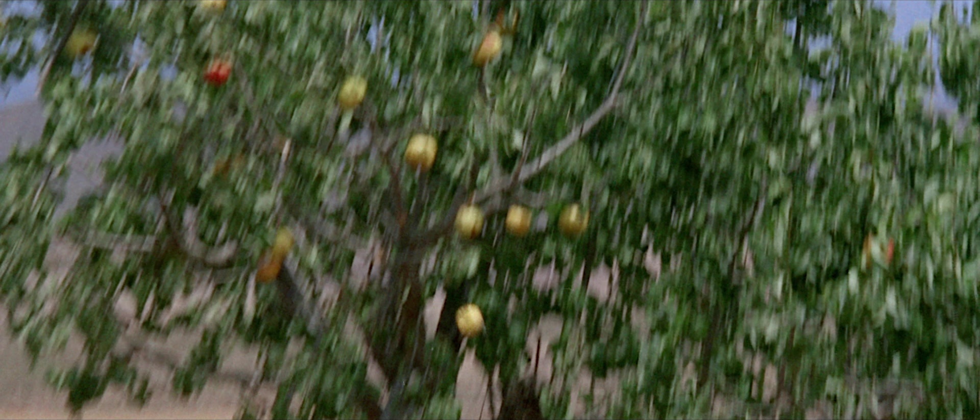 Per qualche dollaro in più (1965), wide, 2.33:1 — film still