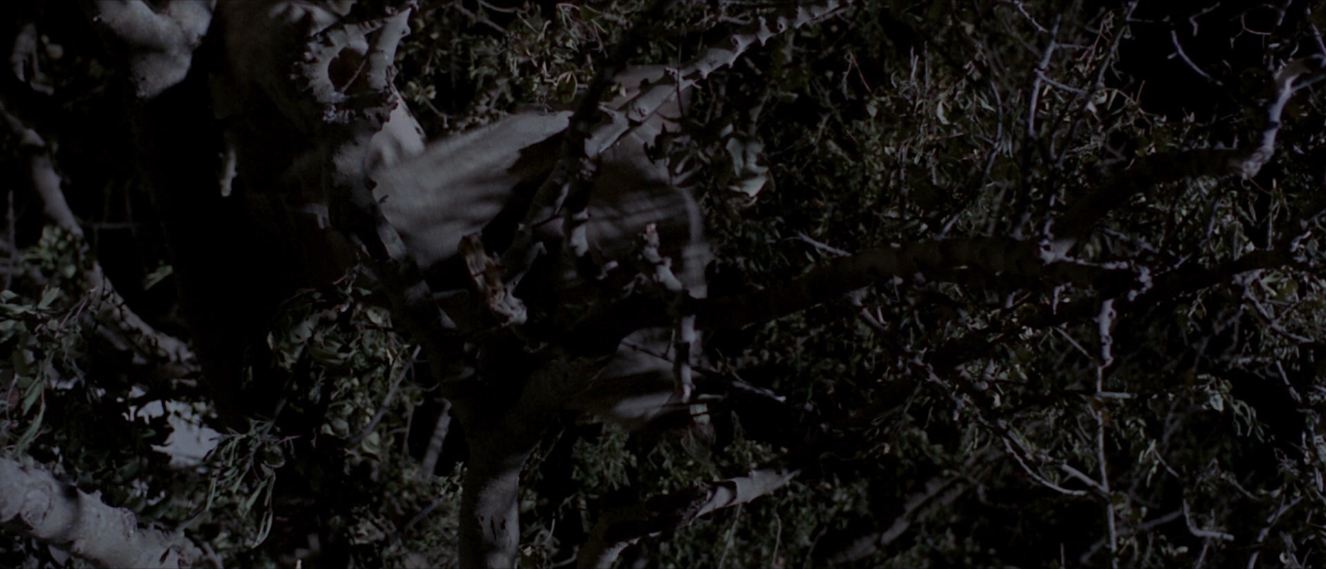 Per qualche dollaro in più (1965), wide, 2.33:1 — film still