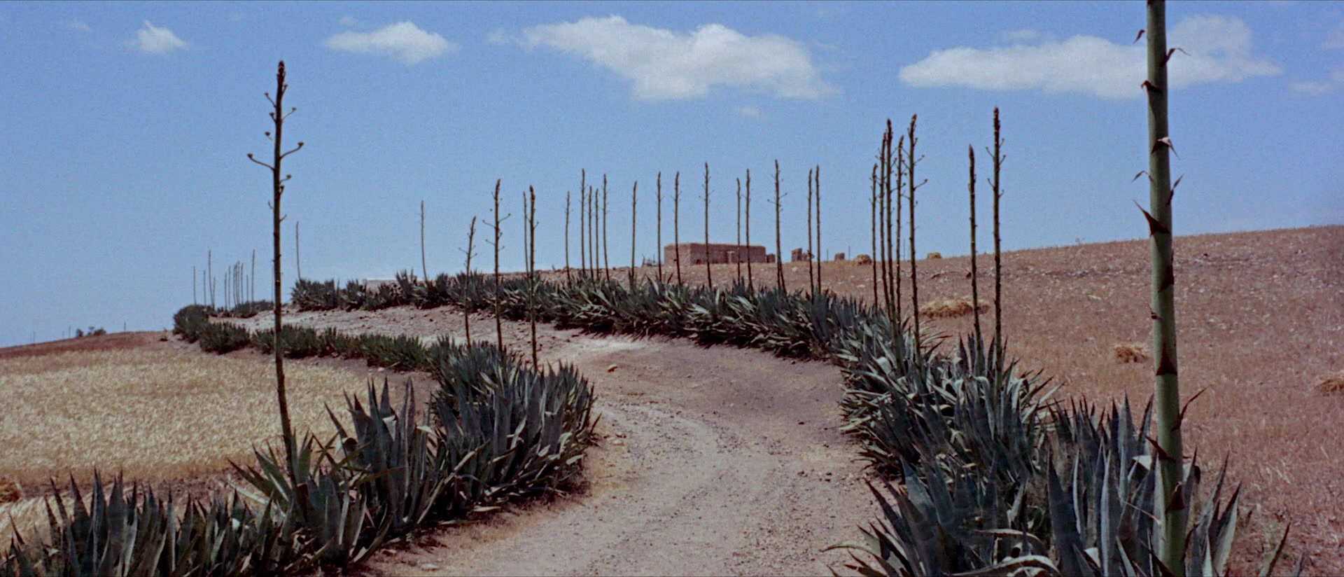 Per qualche dollaro in più (1965), wide, 2.33:1 — film still