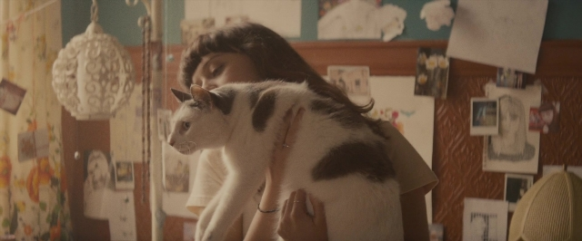 Wide shot frame from The Diary of a Teenage Girl — standing, room, cat