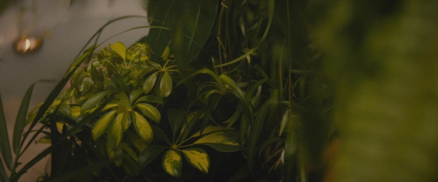 The Diary of a Teenage Girl — film still