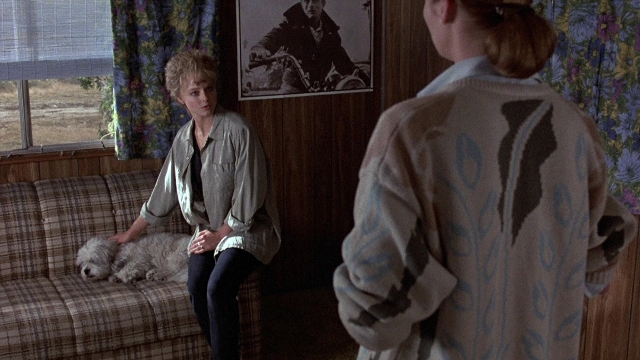Wide shot frame from The Accused — sitting, room, dog