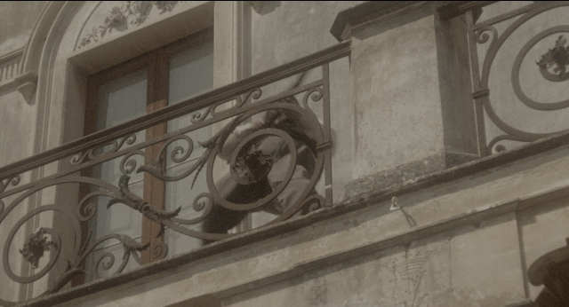 Wide shot frame from The Godfather: Part II — bird, window, building