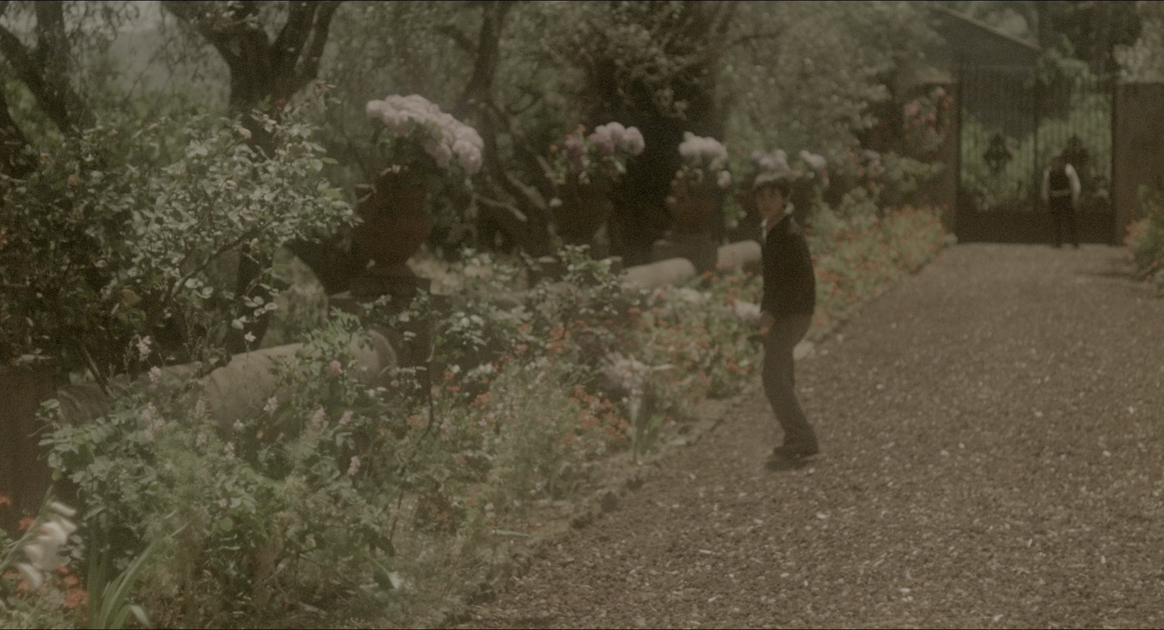 The Godfather: Part II (1974), wide, 1.85:1 — film still