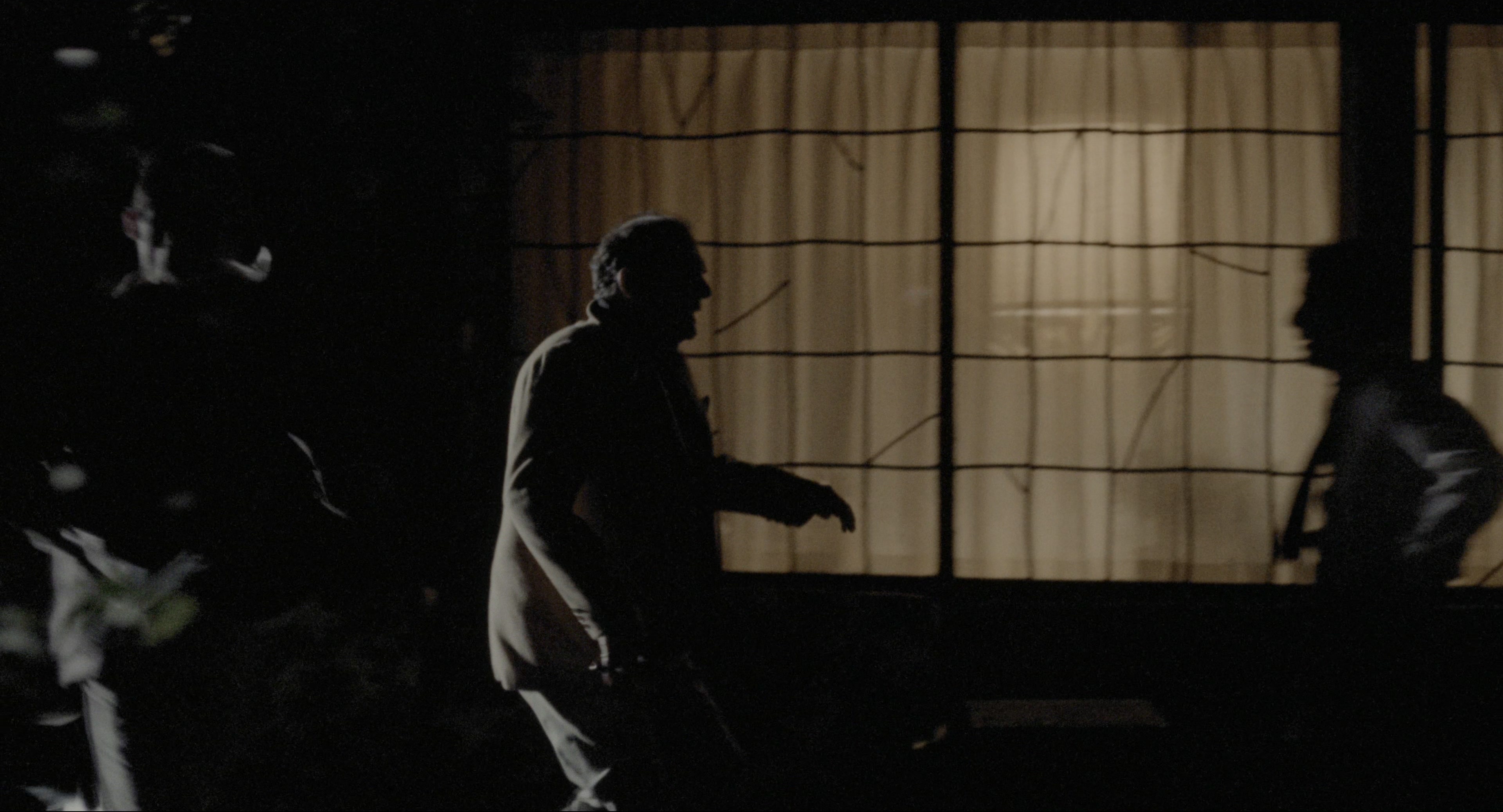 The Godfather: Part II (1974), wide, 1.85:1 — film still