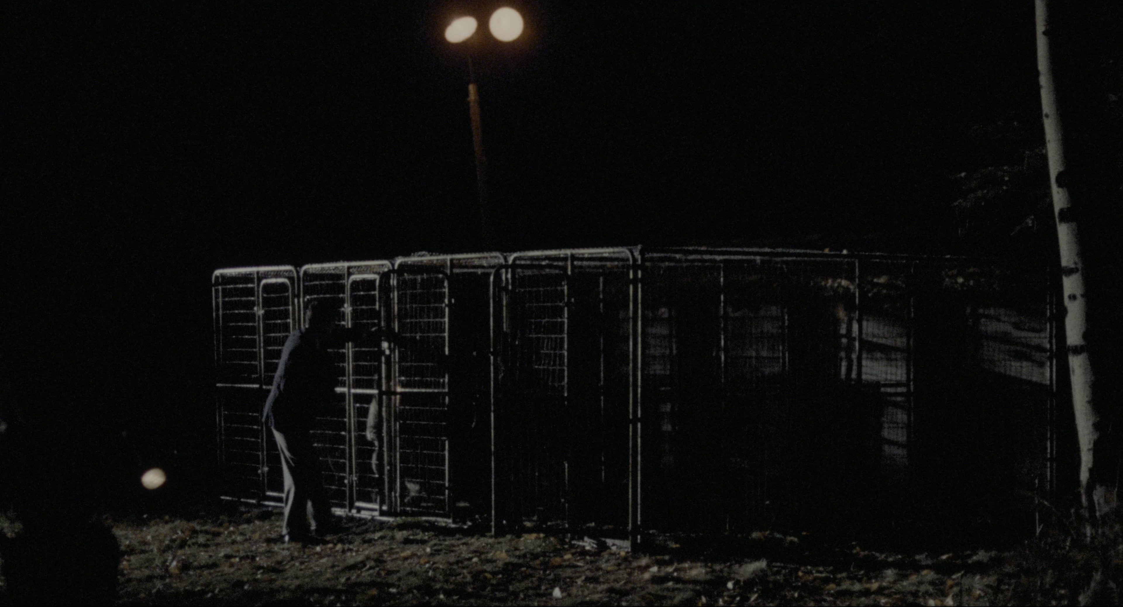 The Godfather: Part II (1974), wide, 1.85:1 — film still