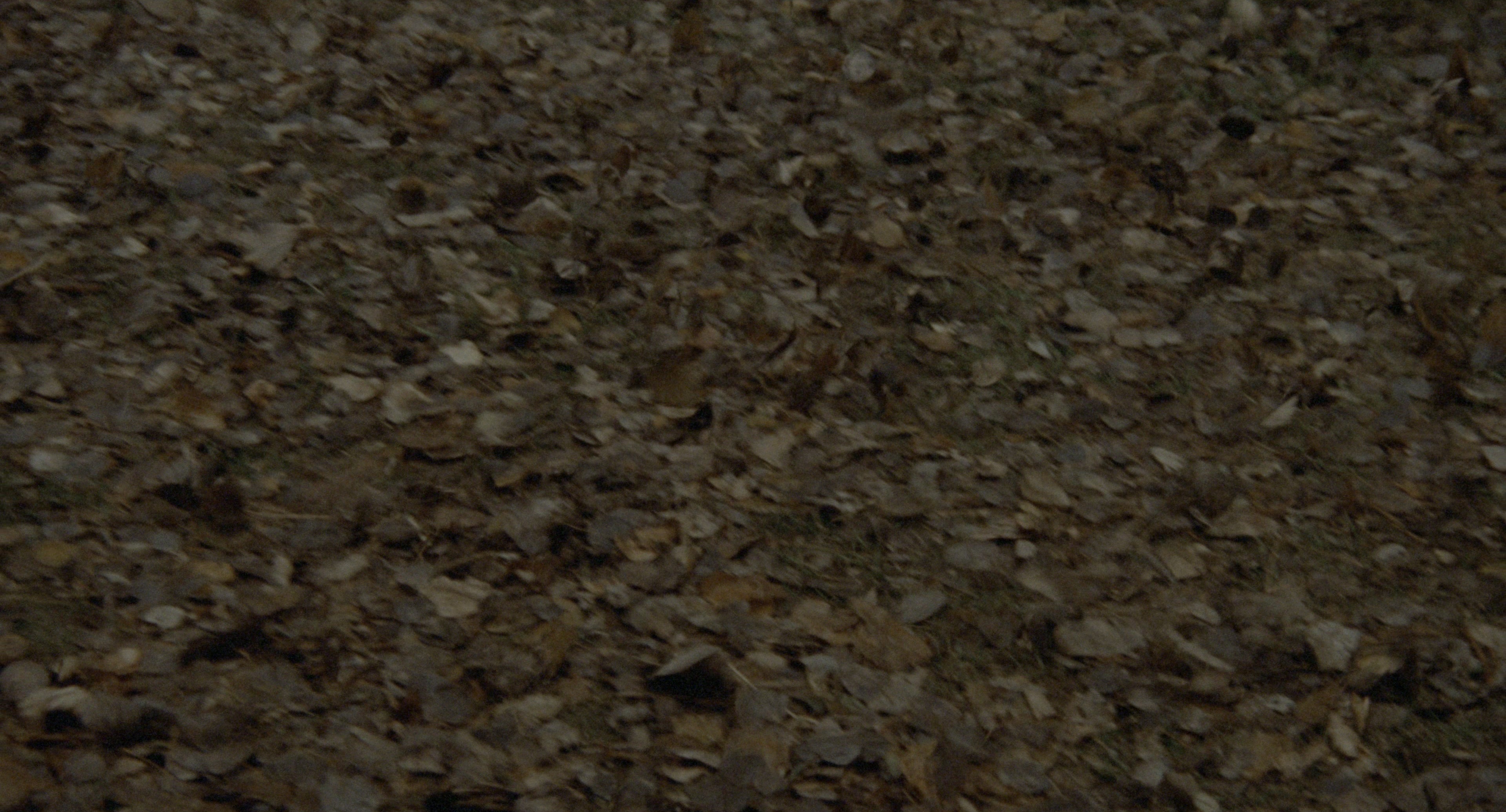 The Godfather: Part II (1974), wide, 1.85:1 — film still