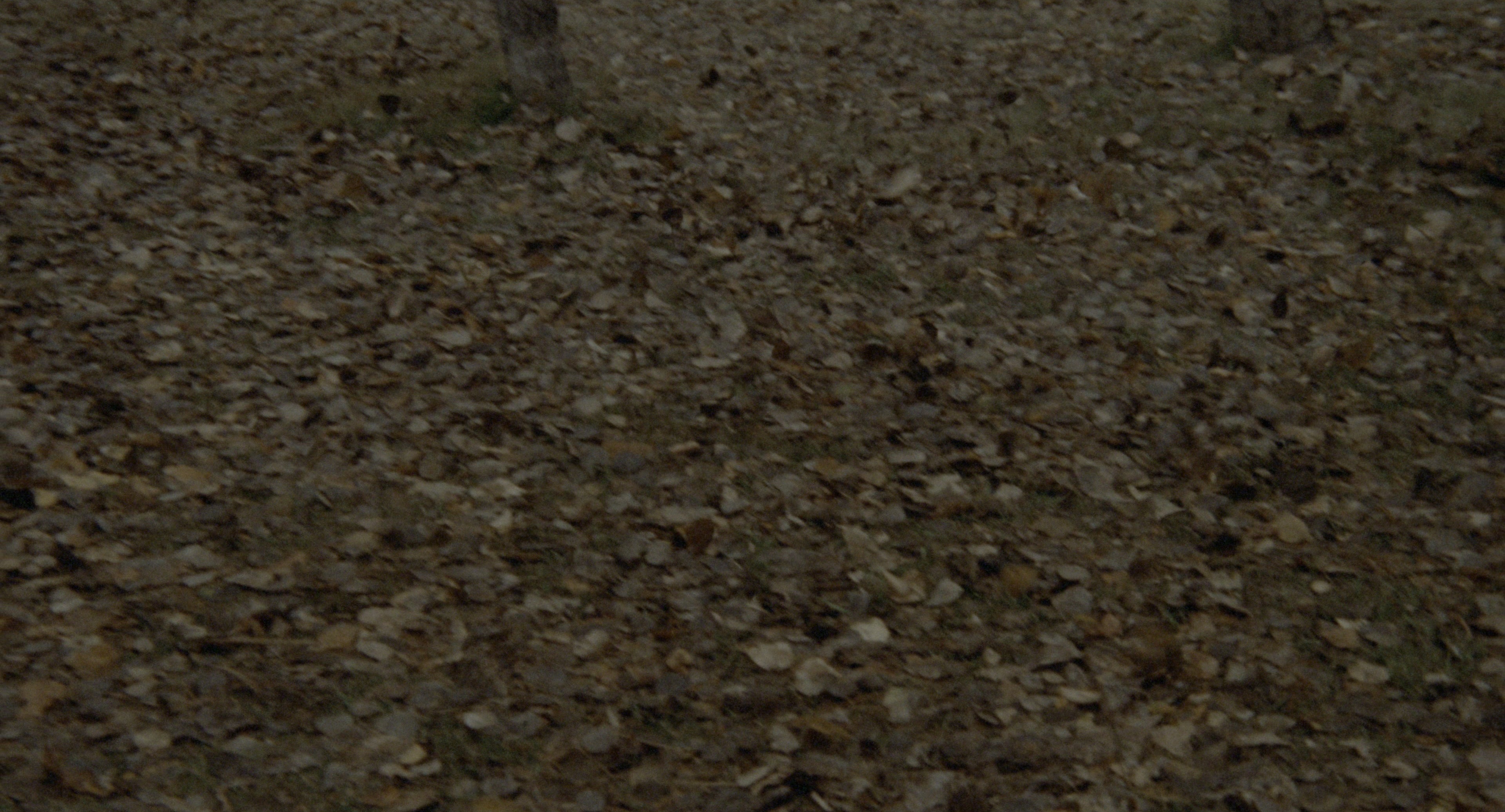 The Godfather: Part II (1974), wide, 1.85:1 — film still