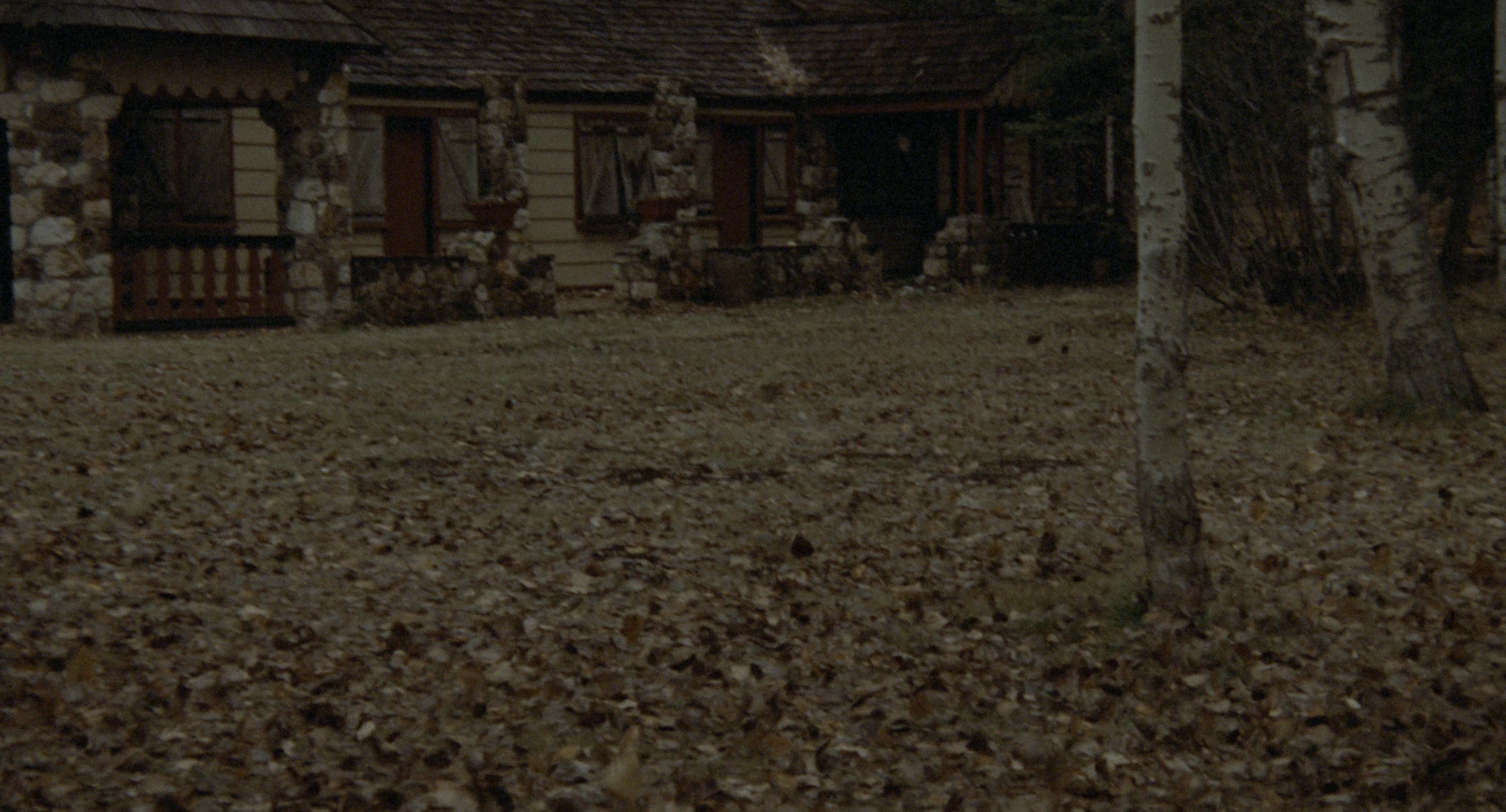 The Godfather: Part II (1974), wide, 1.85:1 — film still
