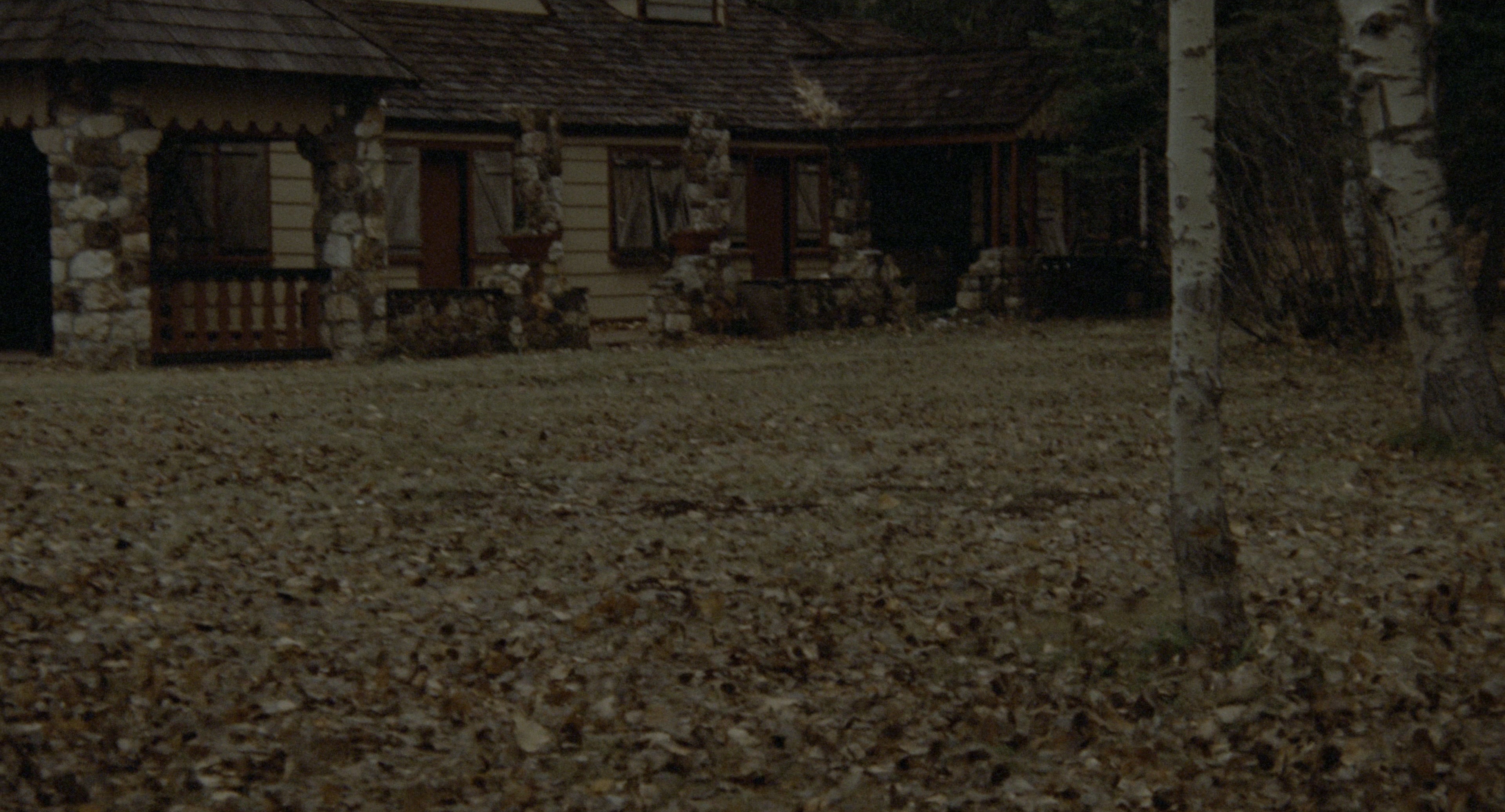 The Godfather: Part II (1974), wide, 1.85:1 — film still