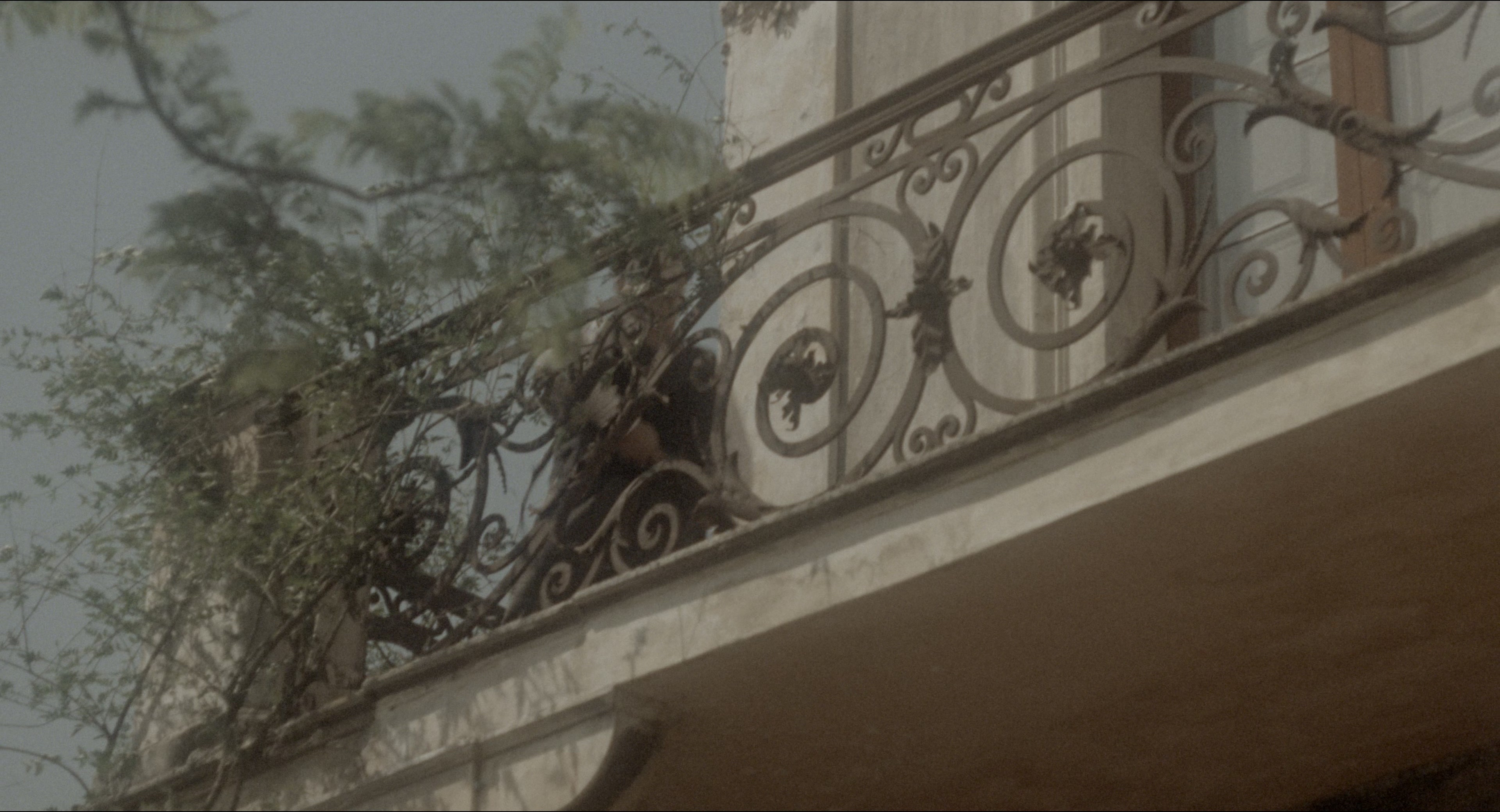 The Godfather: Part II (1974), wide, 1.85:1 — film still