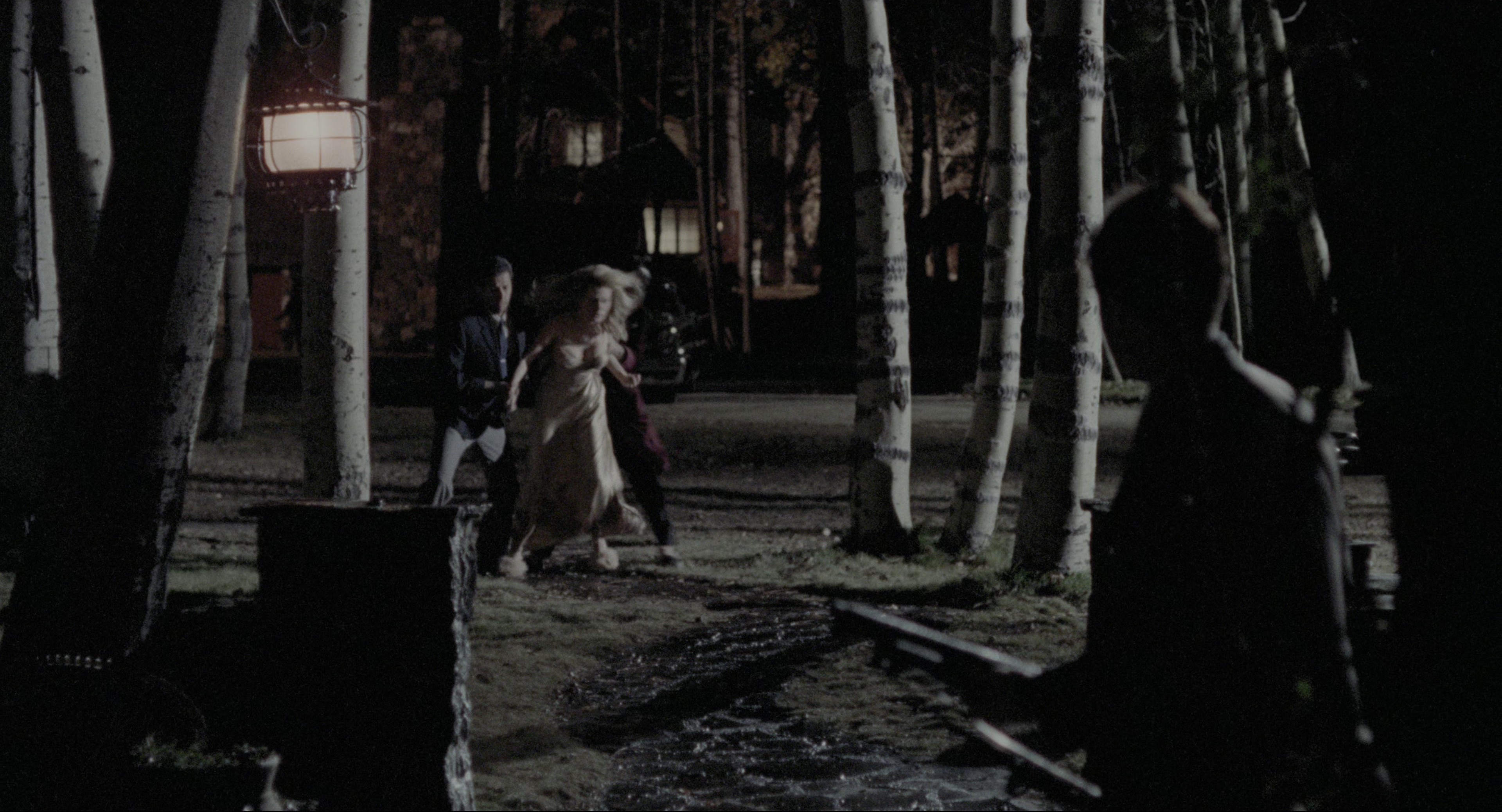The Godfather: Part II (1974), wide, 1.85:1 — film still