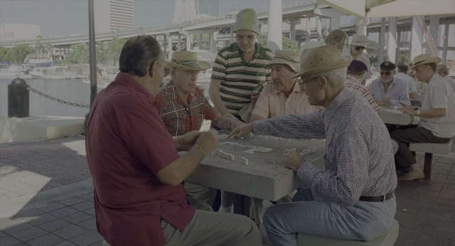 seria-1453118.jpg