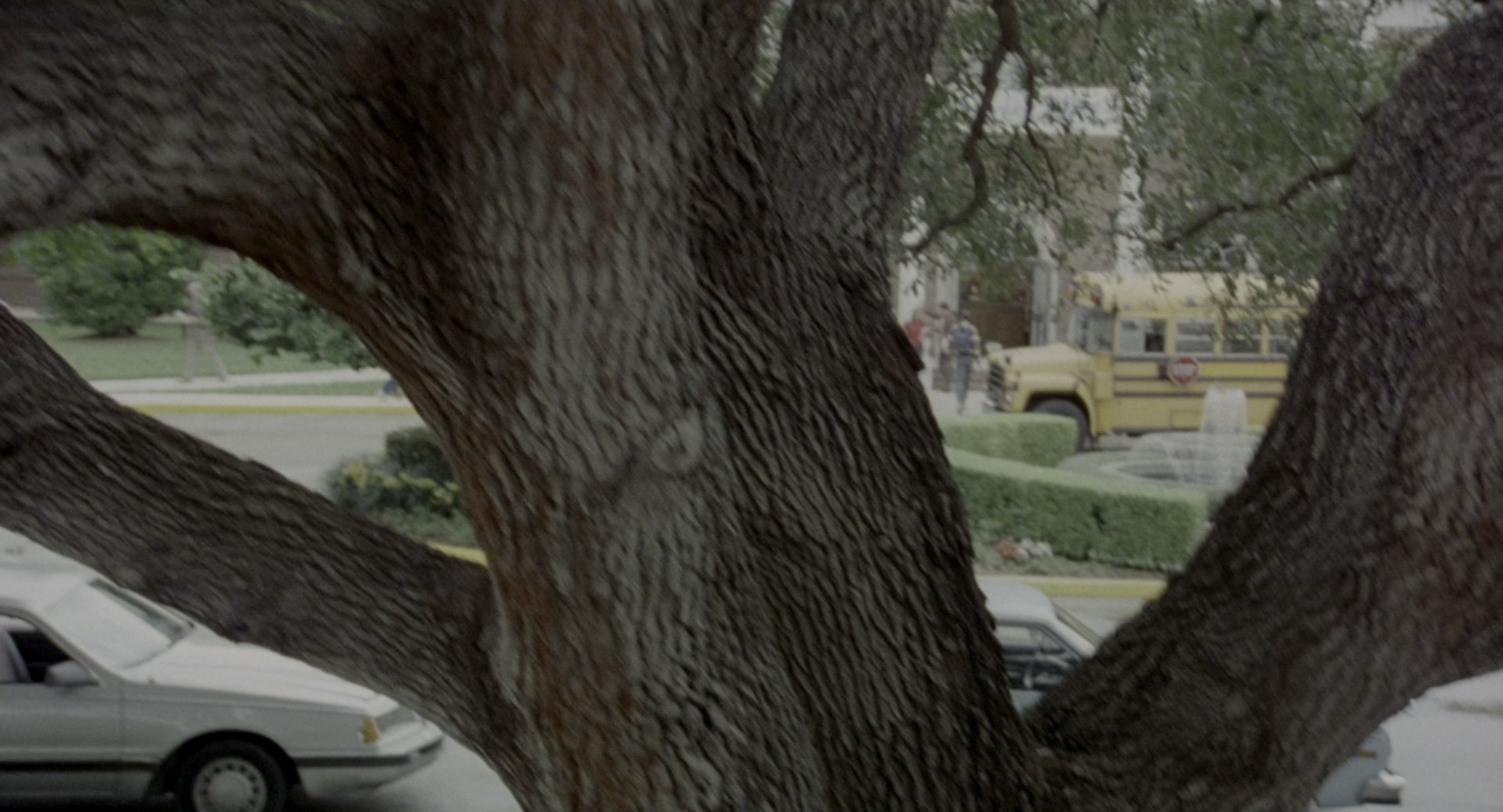 There's Something About Mary (1998), close, 1.85:1 — film still
