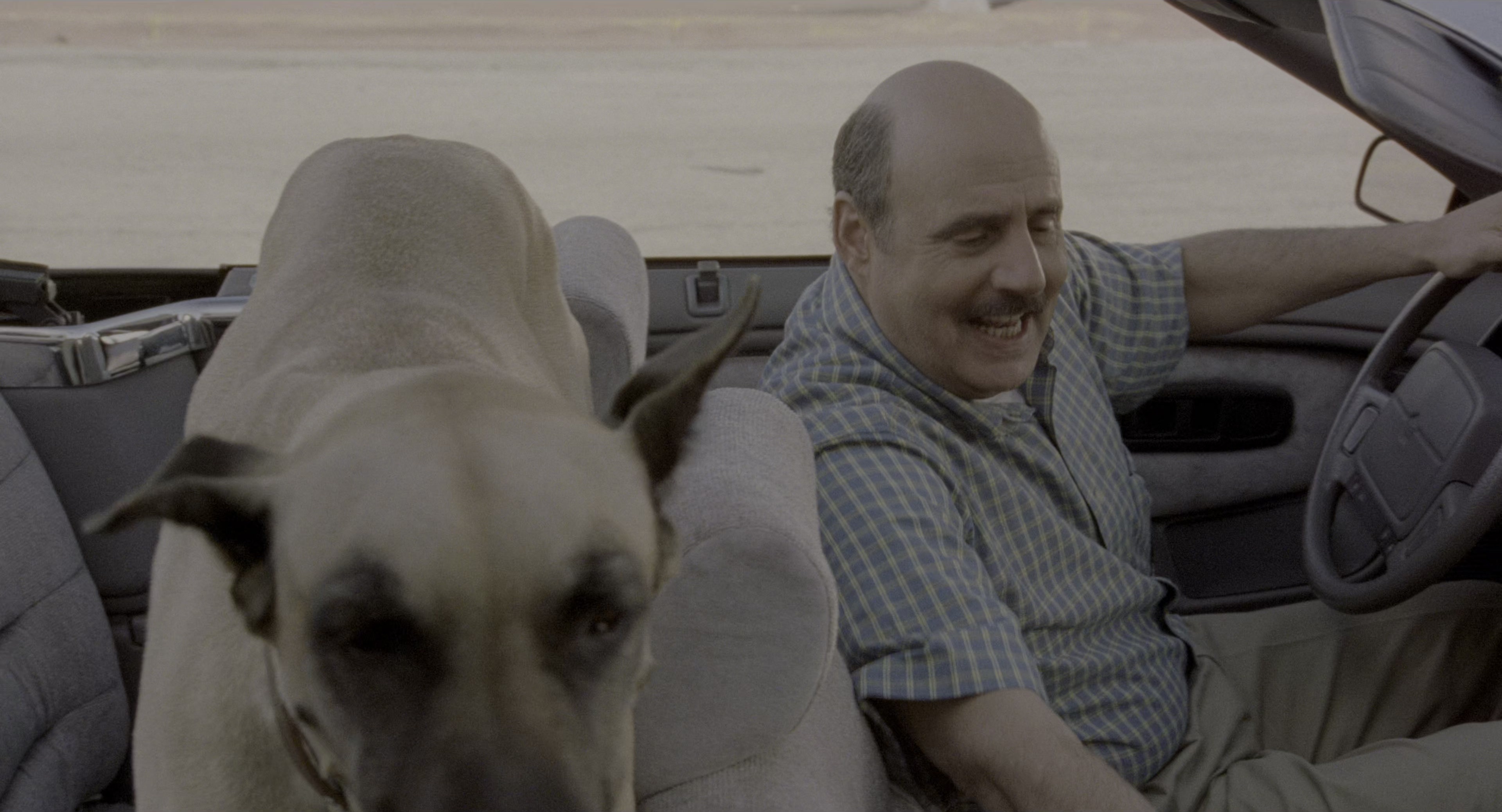 There's Something About Mary (1998), wide, 1.85:1 — film still