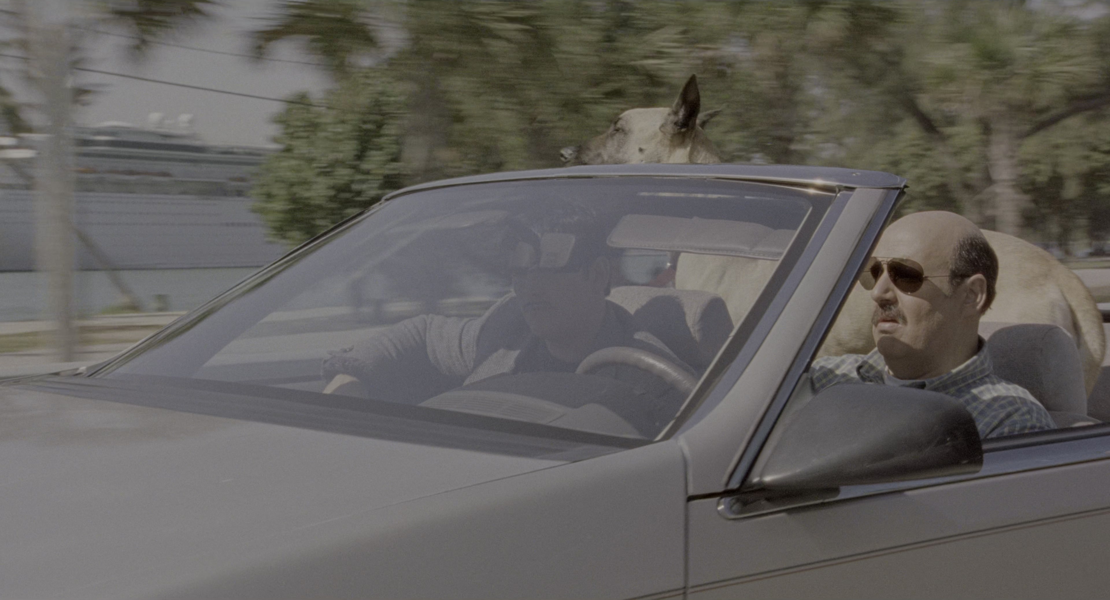 There's Something About Mary (1998), wide, 1.85:1 — film still