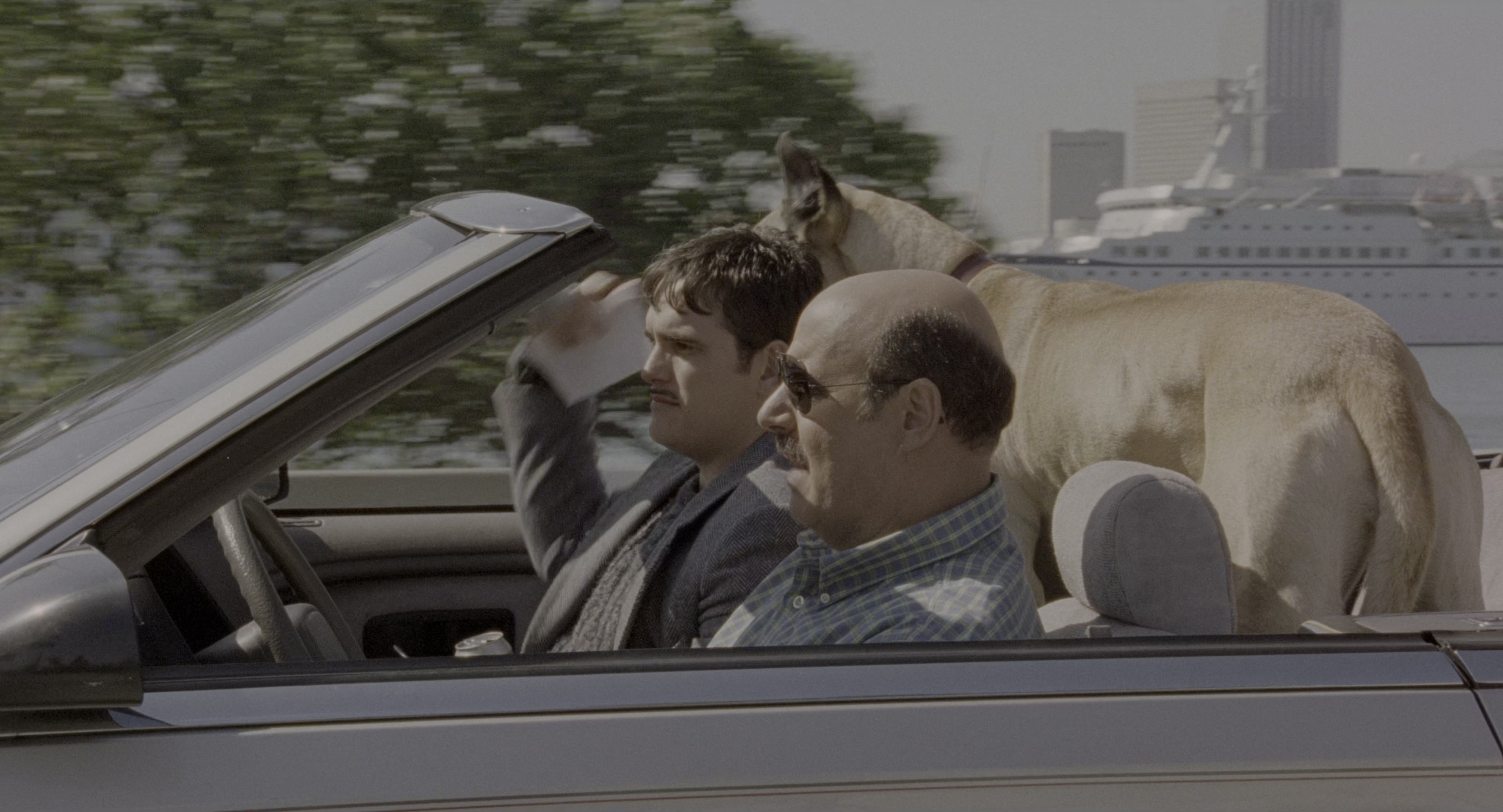 There's Something About Mary (1998), wide, 1.85:1 — film still