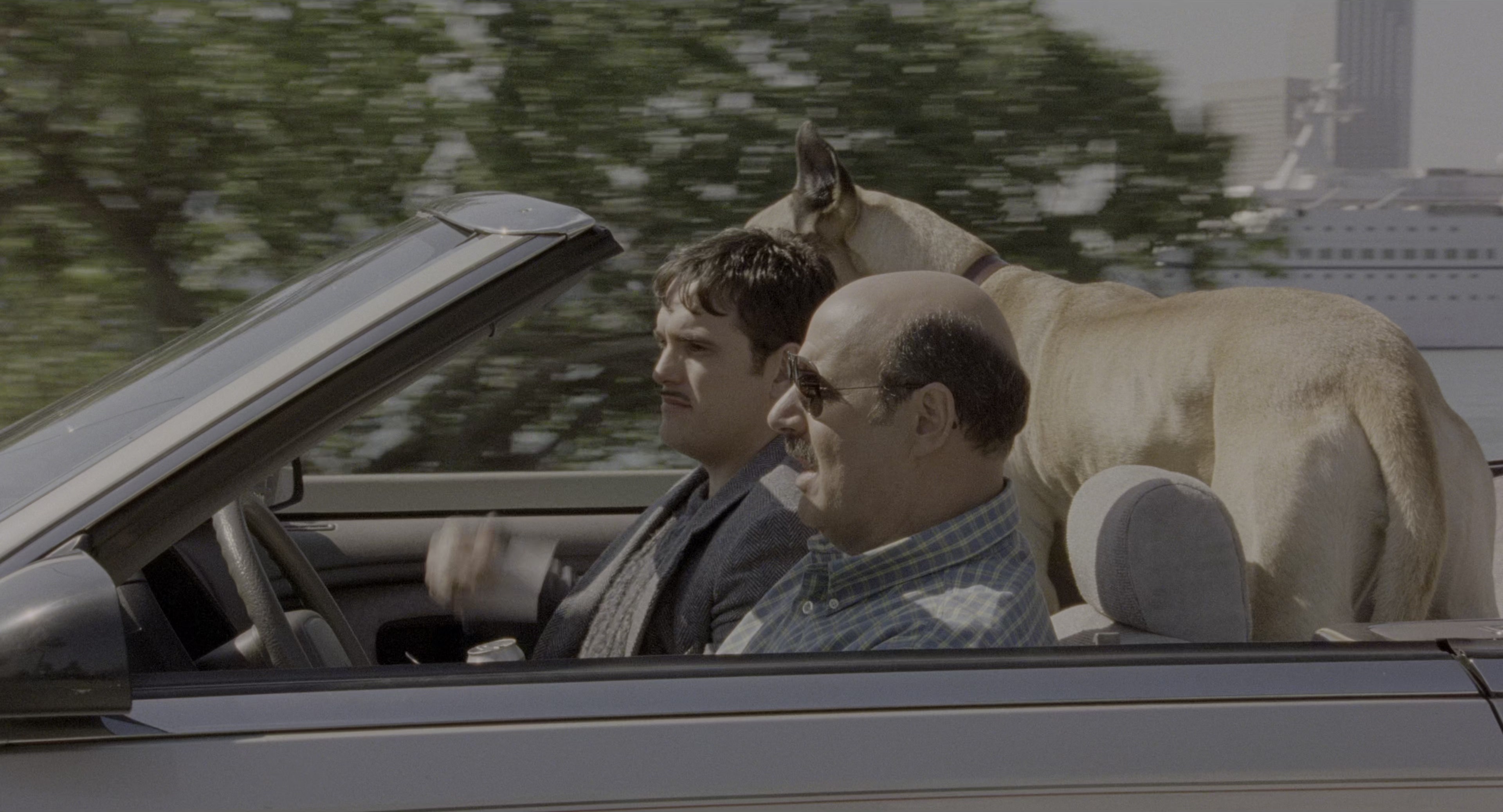 There's Something About Mary (1998), wide, 1.85:1 — film still