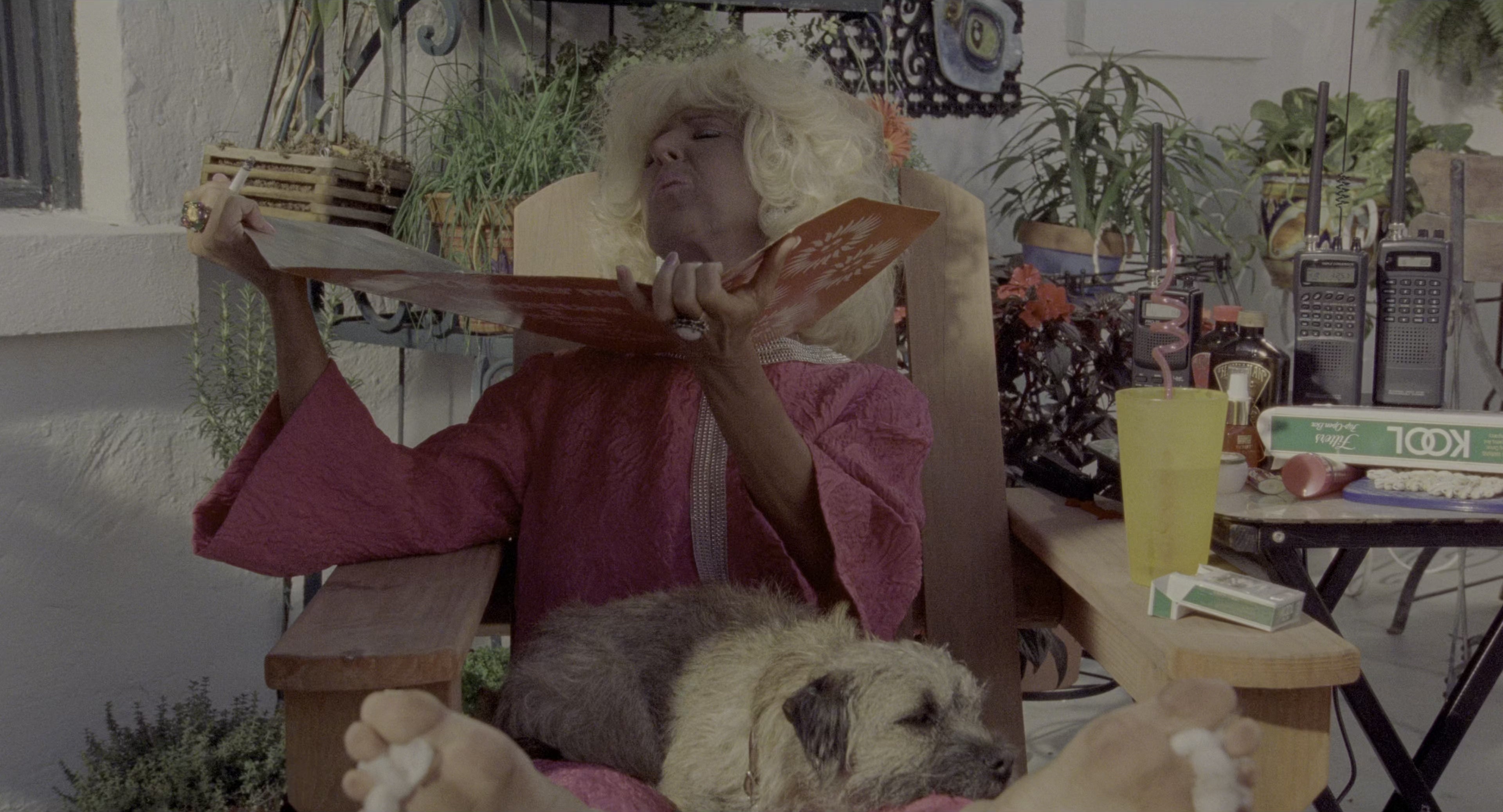 There's Something About Mary (1998), wide, 1.85:1 — film still