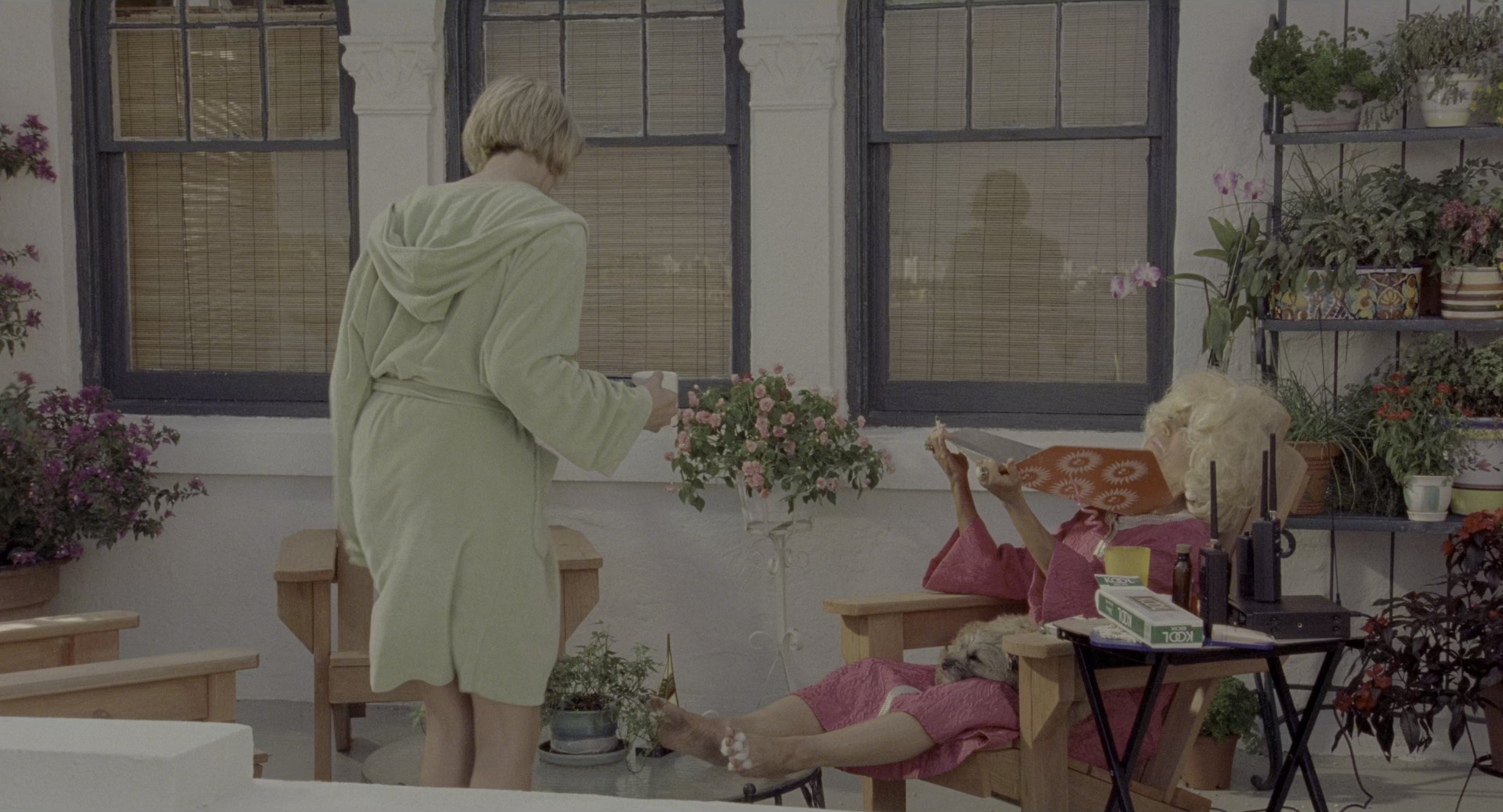 There's Something About Mary (1998), wide, 1.85:1 — film still