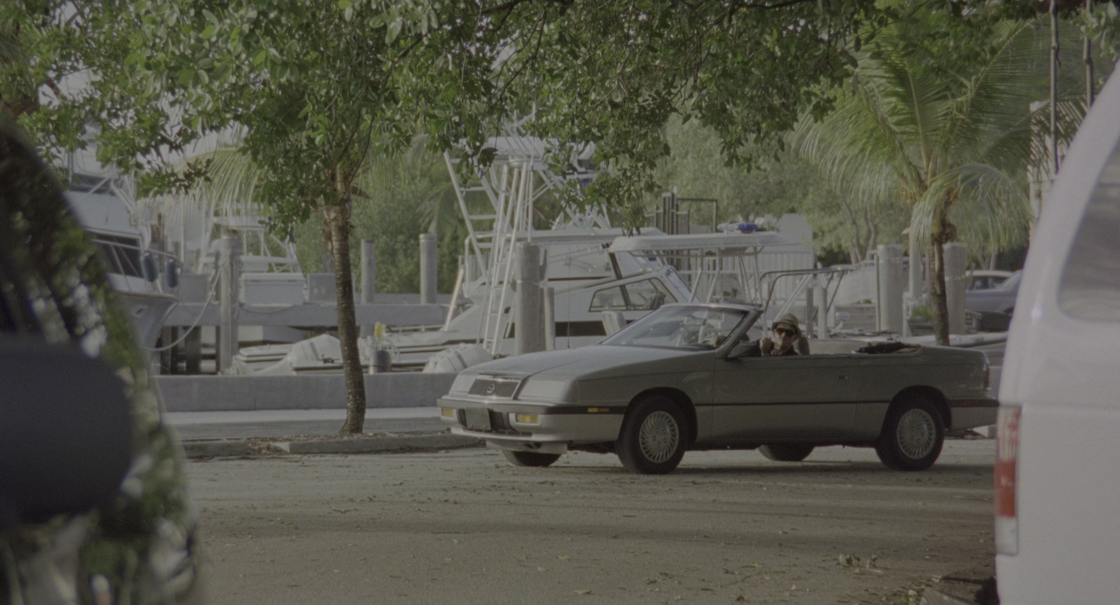 There's Something About Mary (1998), wide, 1.85:1 — film still