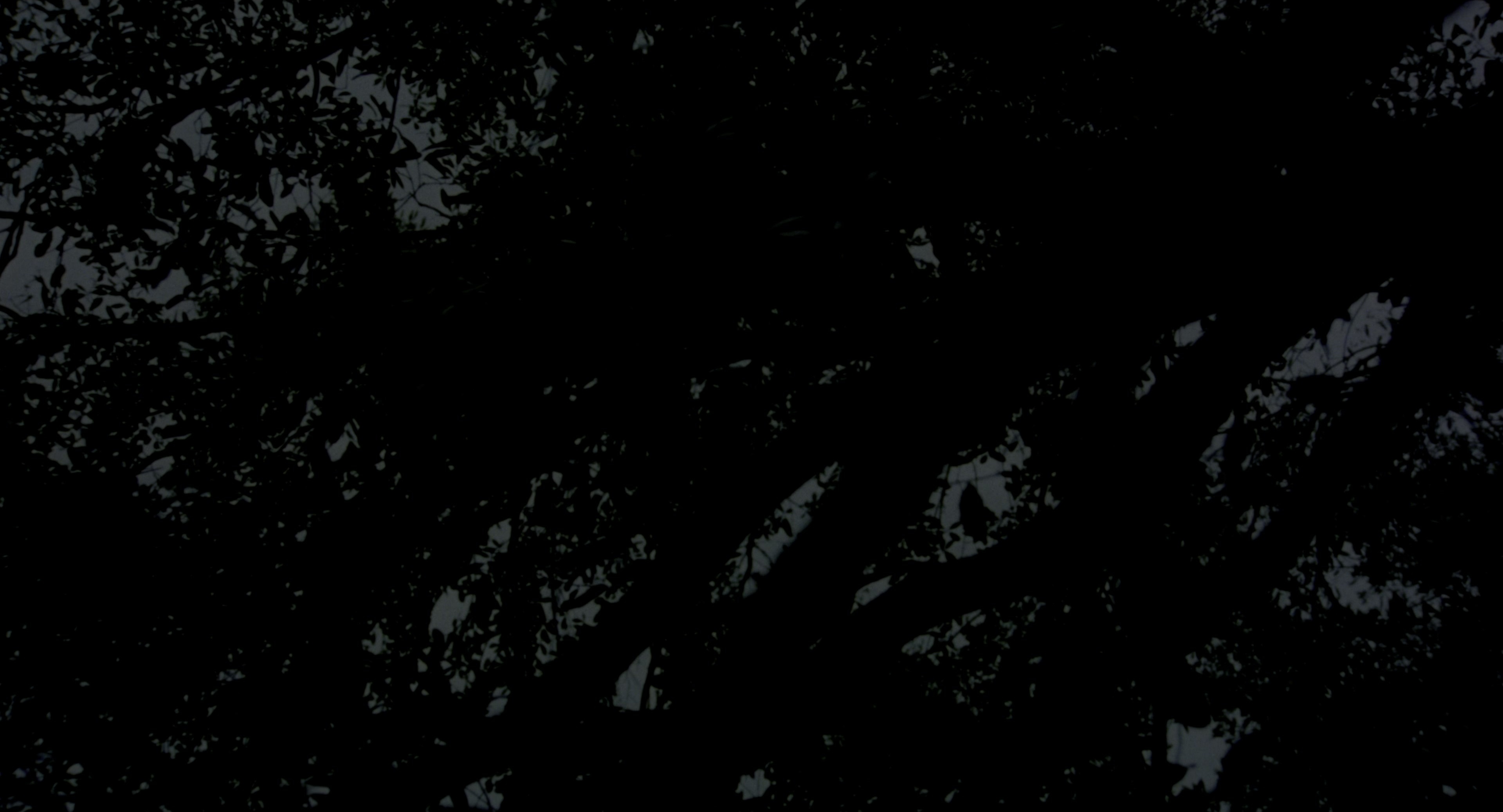 There's Something About Mary (1998), wide, 1.85:1 — film still