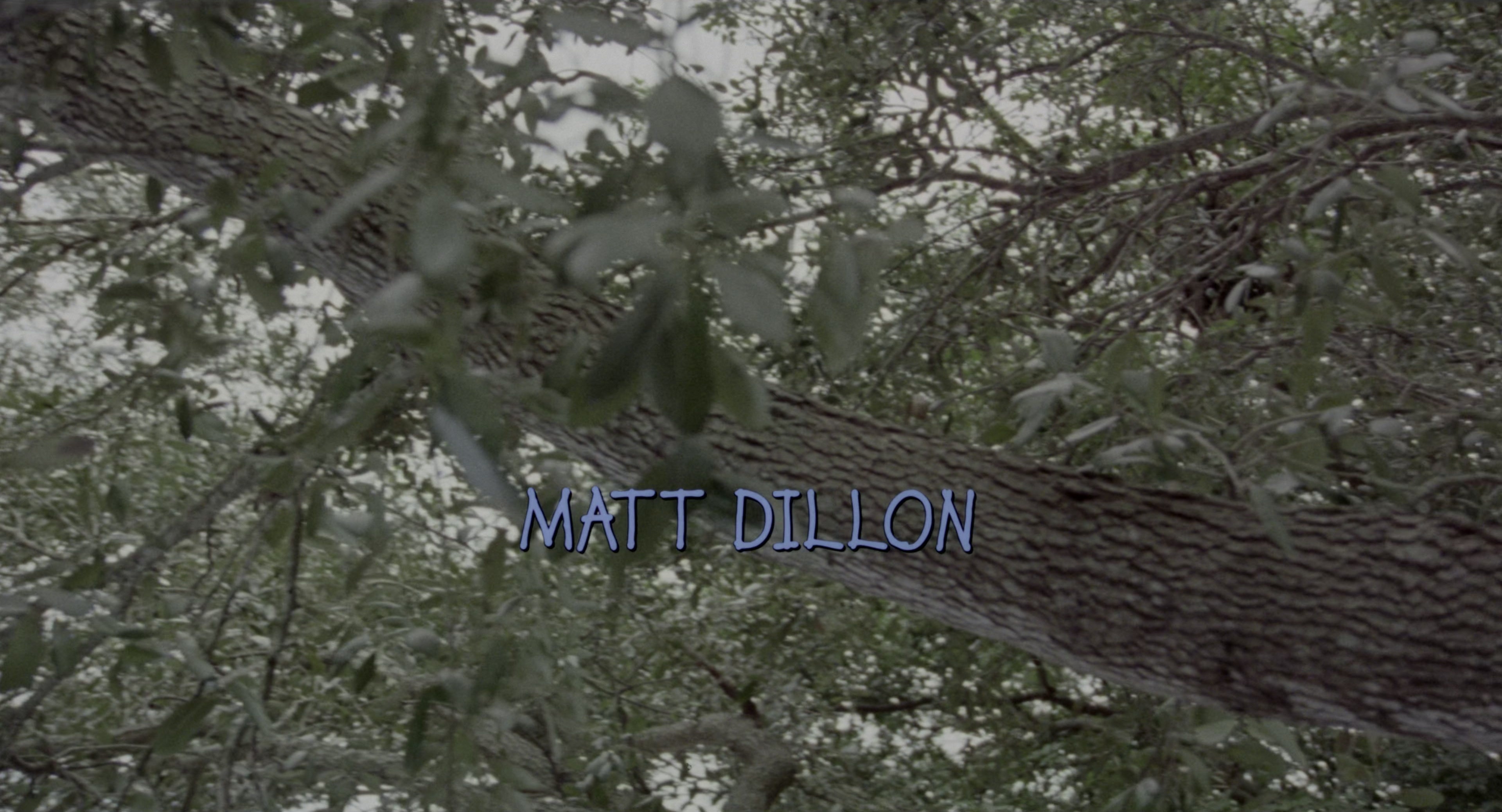 There's Something About Mary (1998), wide, 1.85:1 — film still