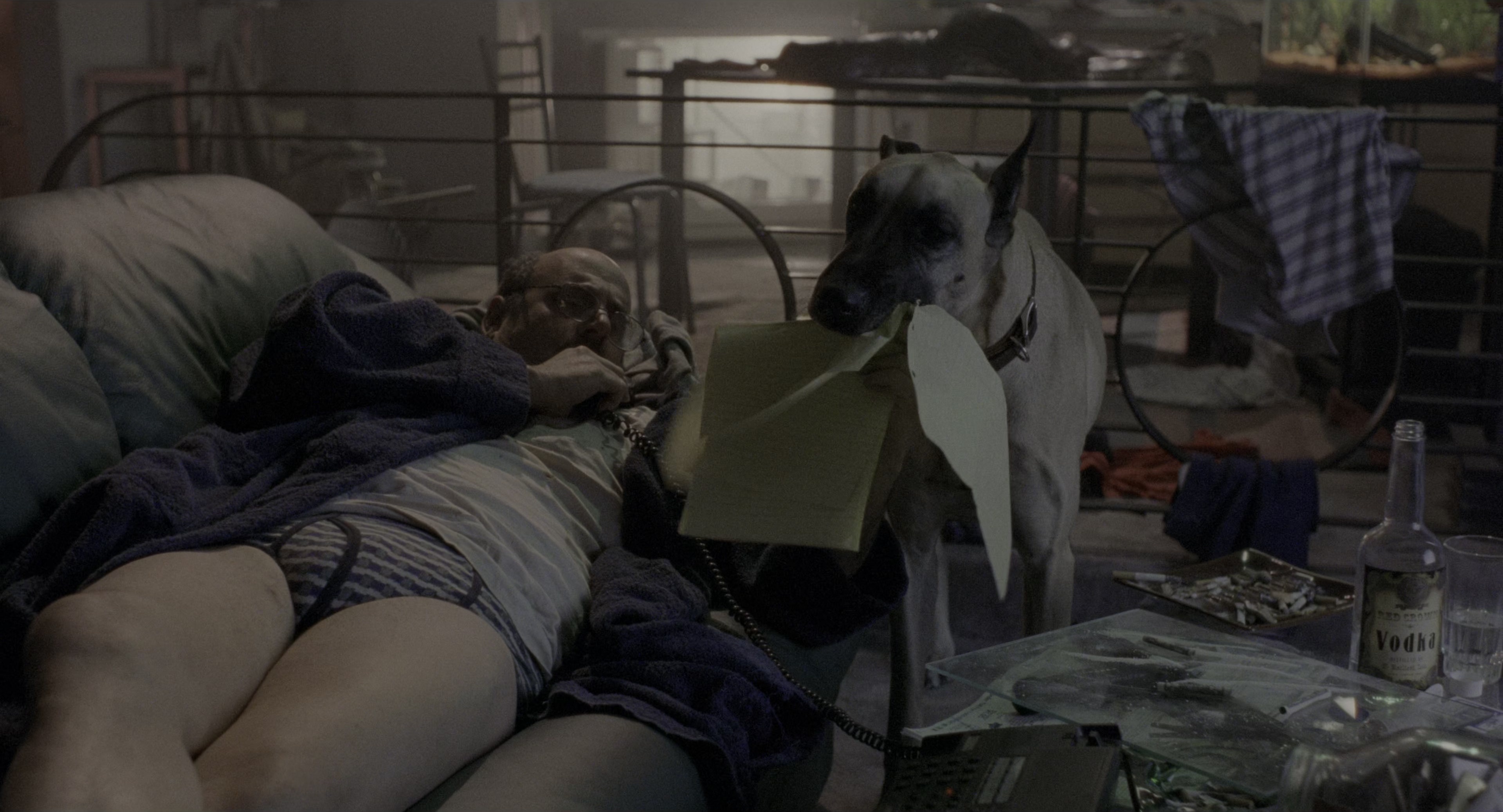There's Something About Mary (1998), wide, 1.85:1 — film still