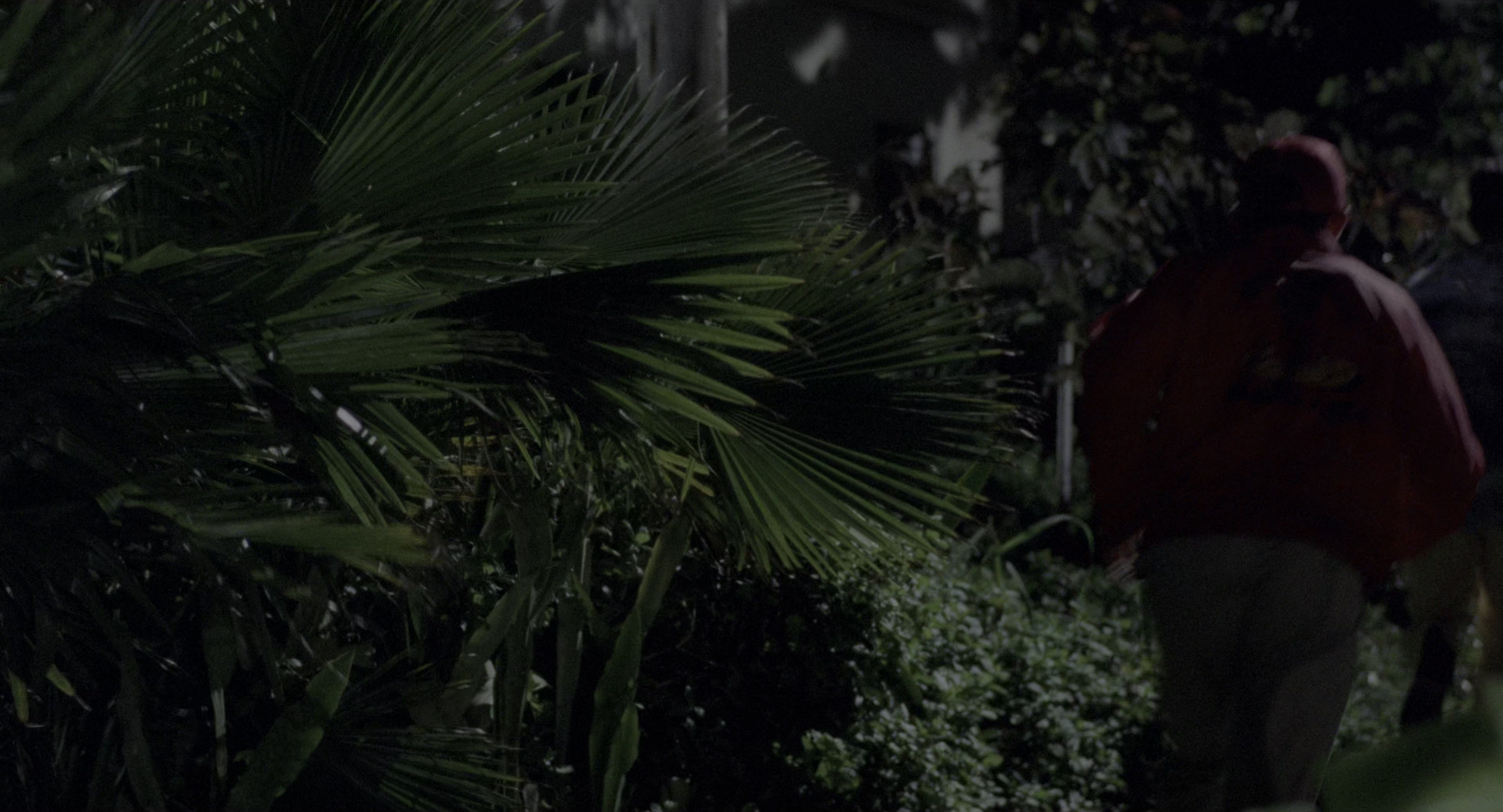 There's Something About Mary (1998), wide, 1.85:1 — film still