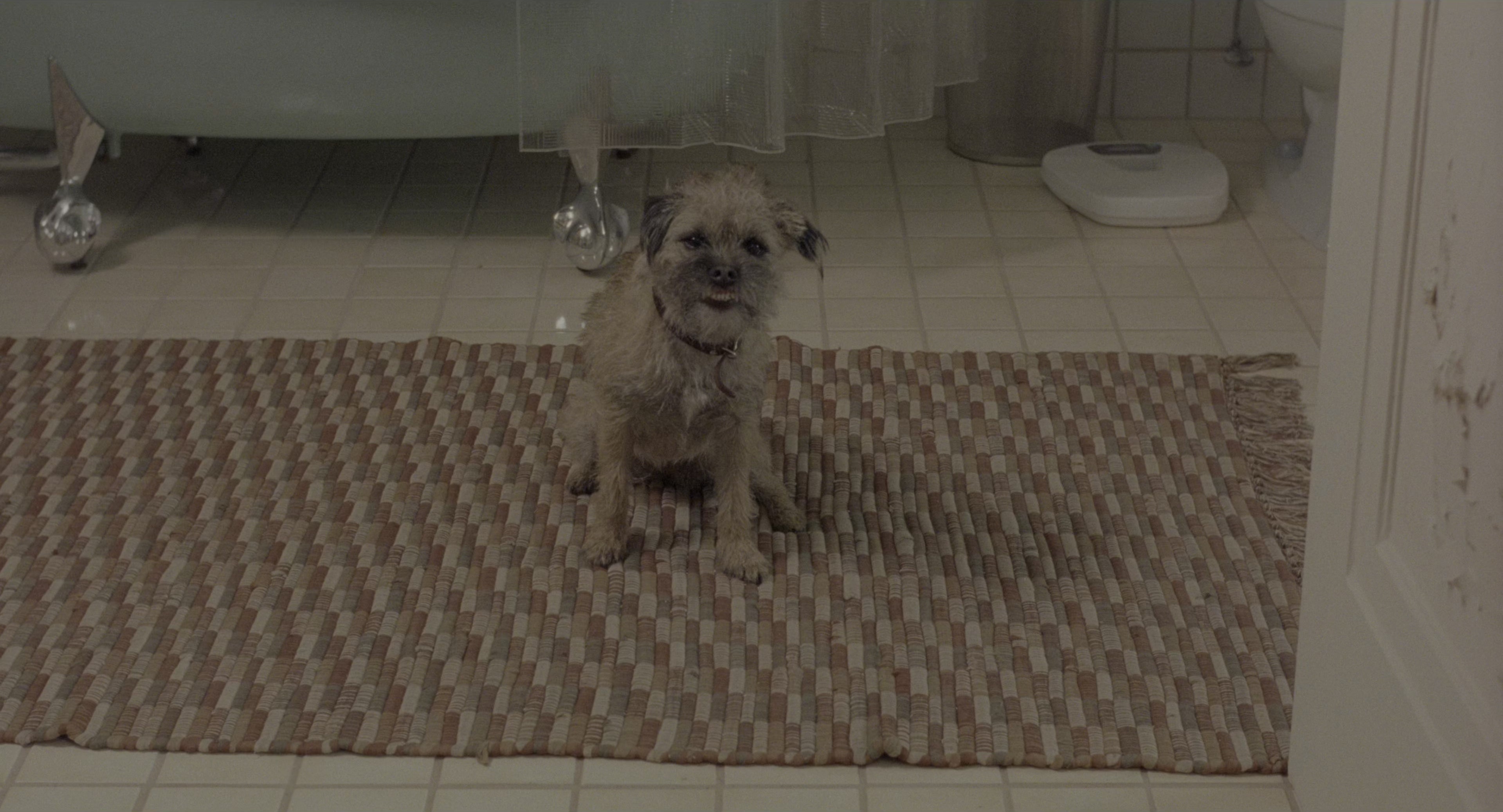There's Something About Mary (1998), wide, 1.85:1 — film still