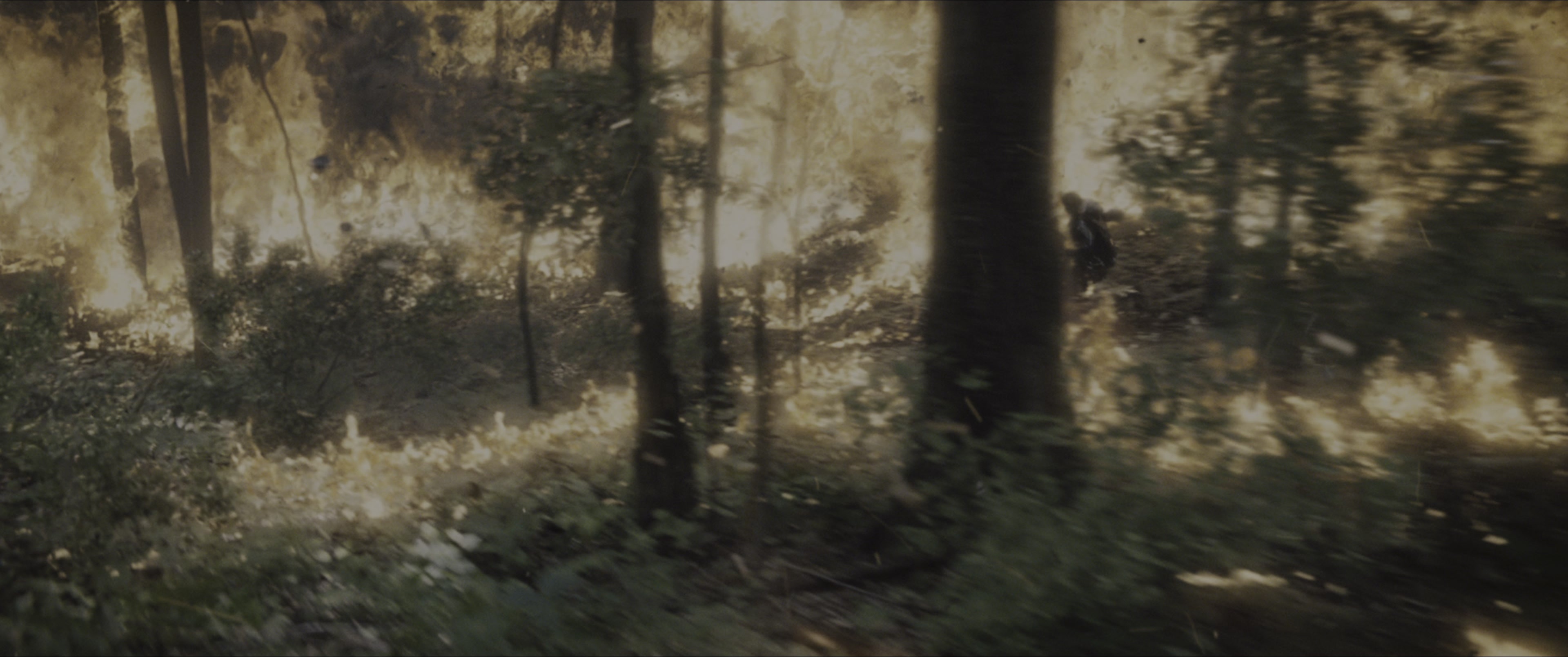 The Hunger Games (2012), wide, 2.39:1 — film still