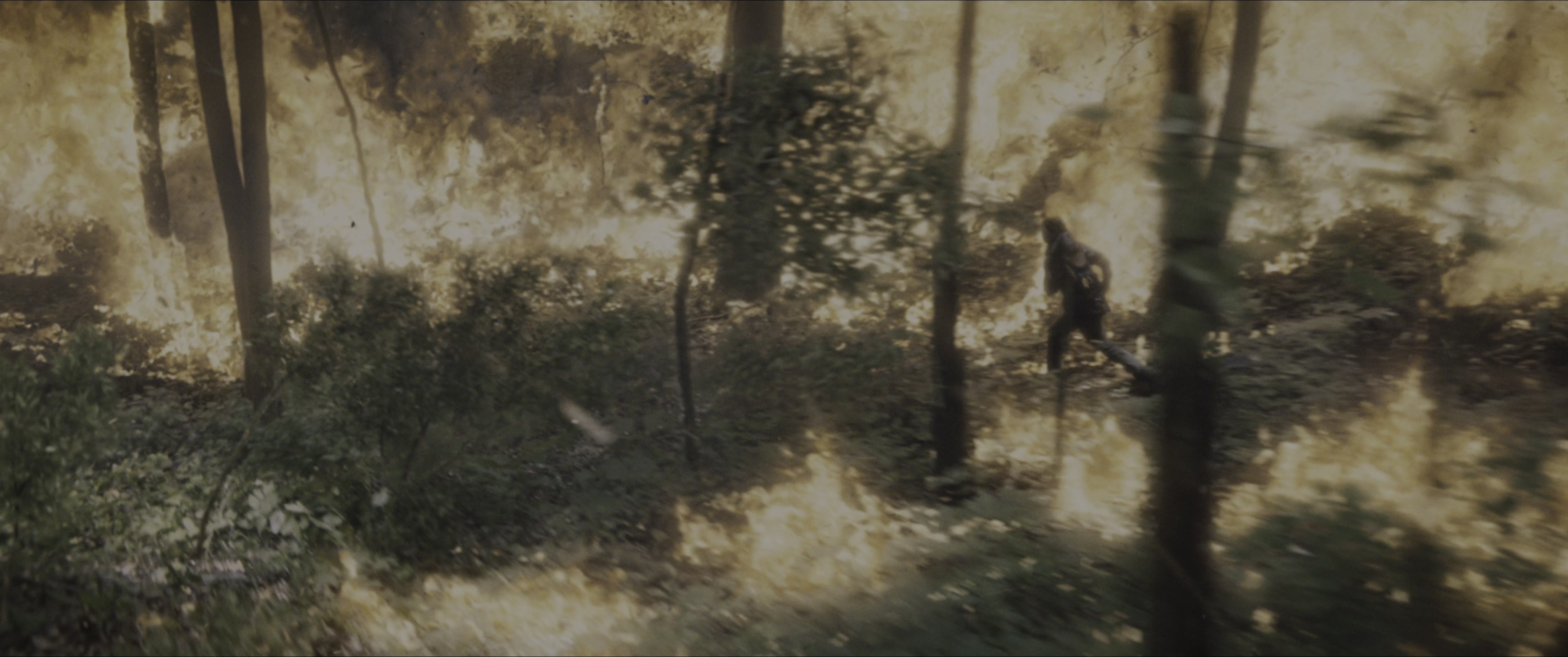 The Hunger Games (2012), wide, 2.39:1 — film still