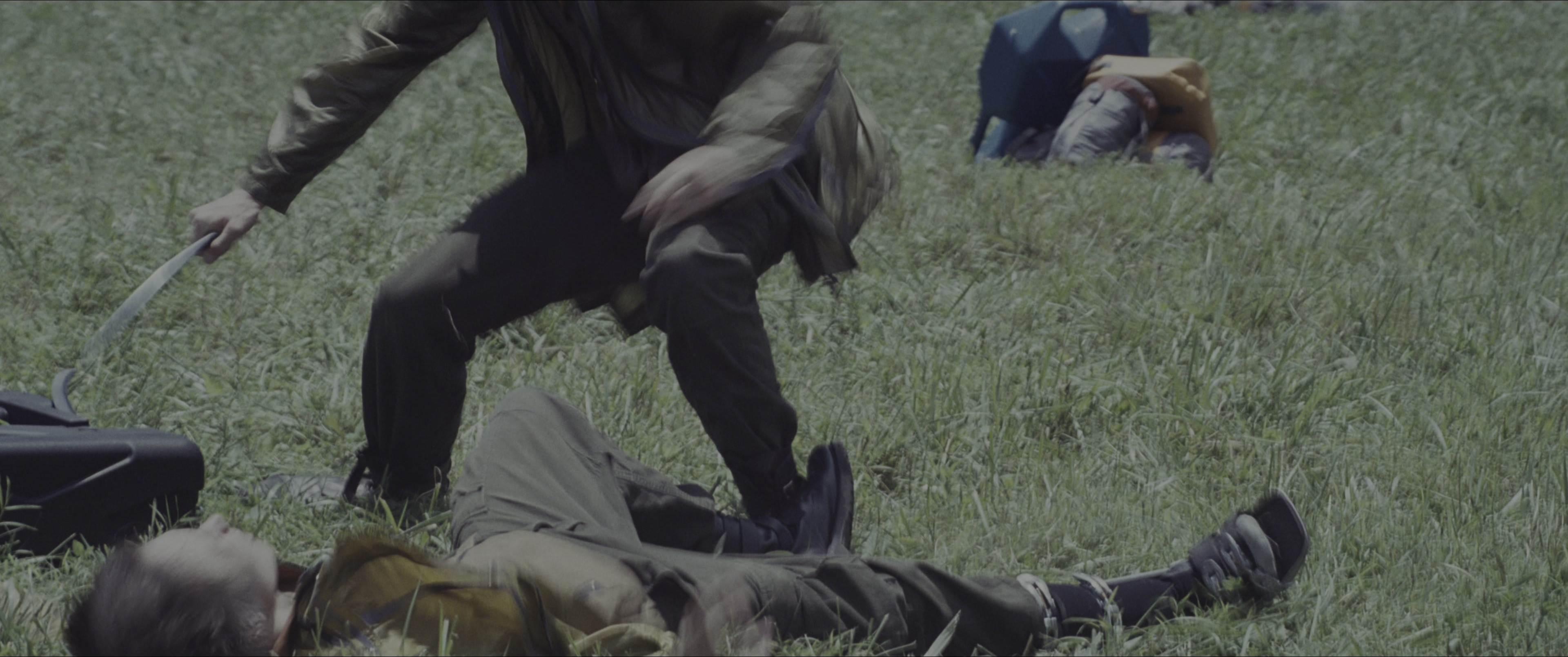 The Hunger Games (2012), wide, 2.39:1 — film still