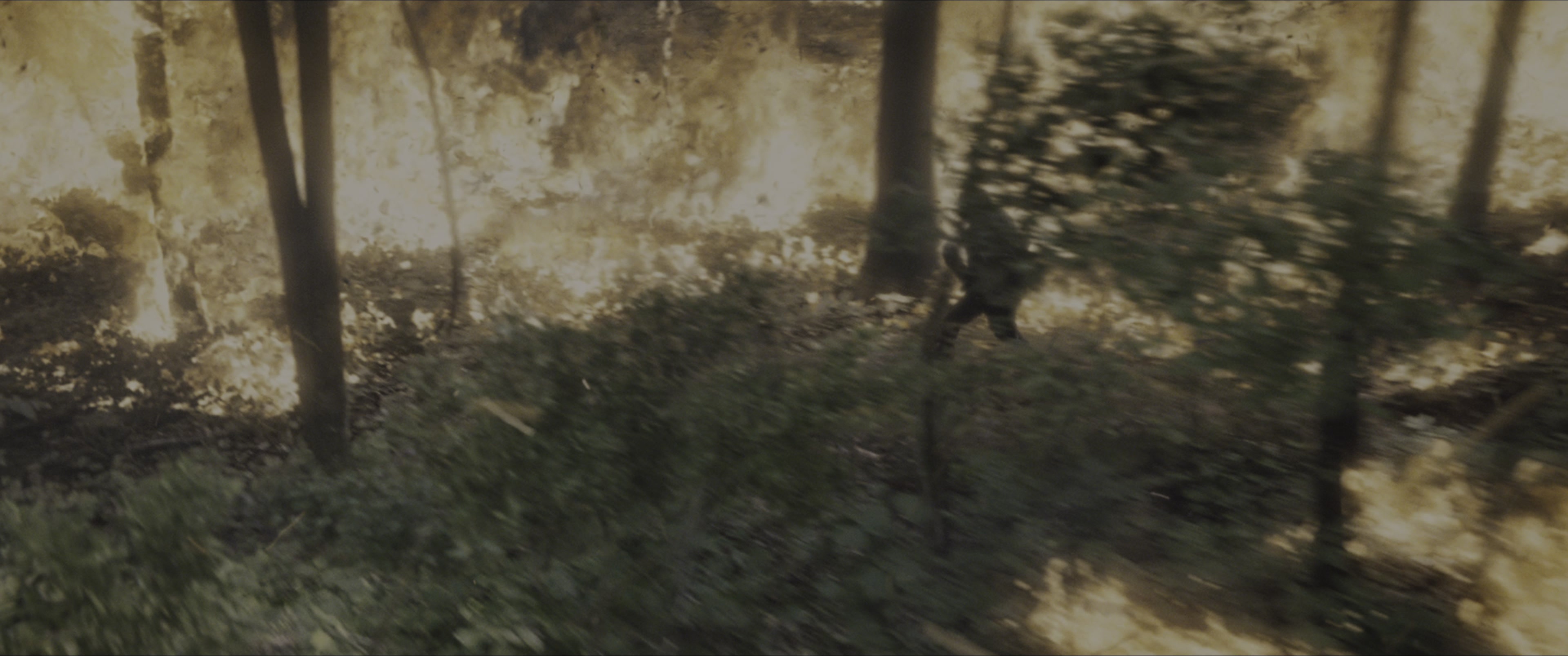 The Hunger Games (2012), wide, 2.39:1 — film still
