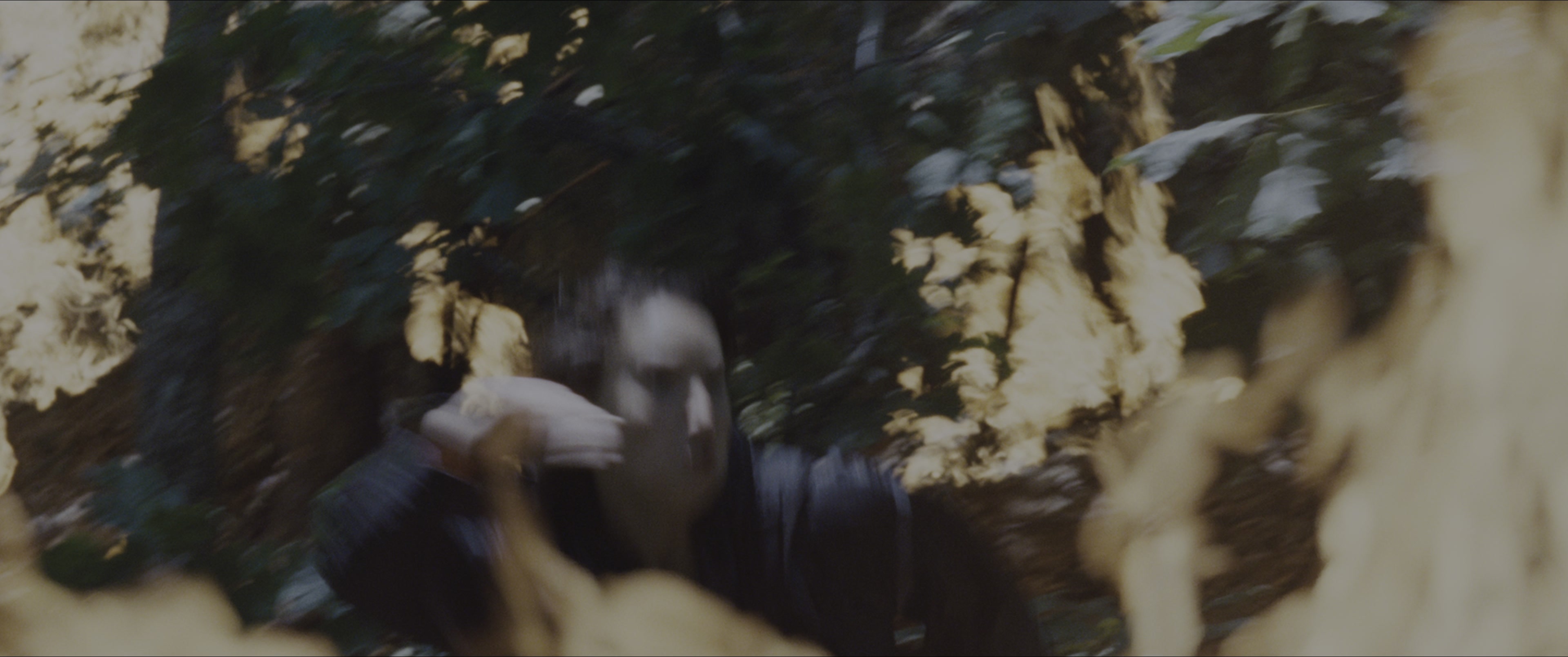The Hunger Games (2012), wide, 2.39:1 — film still