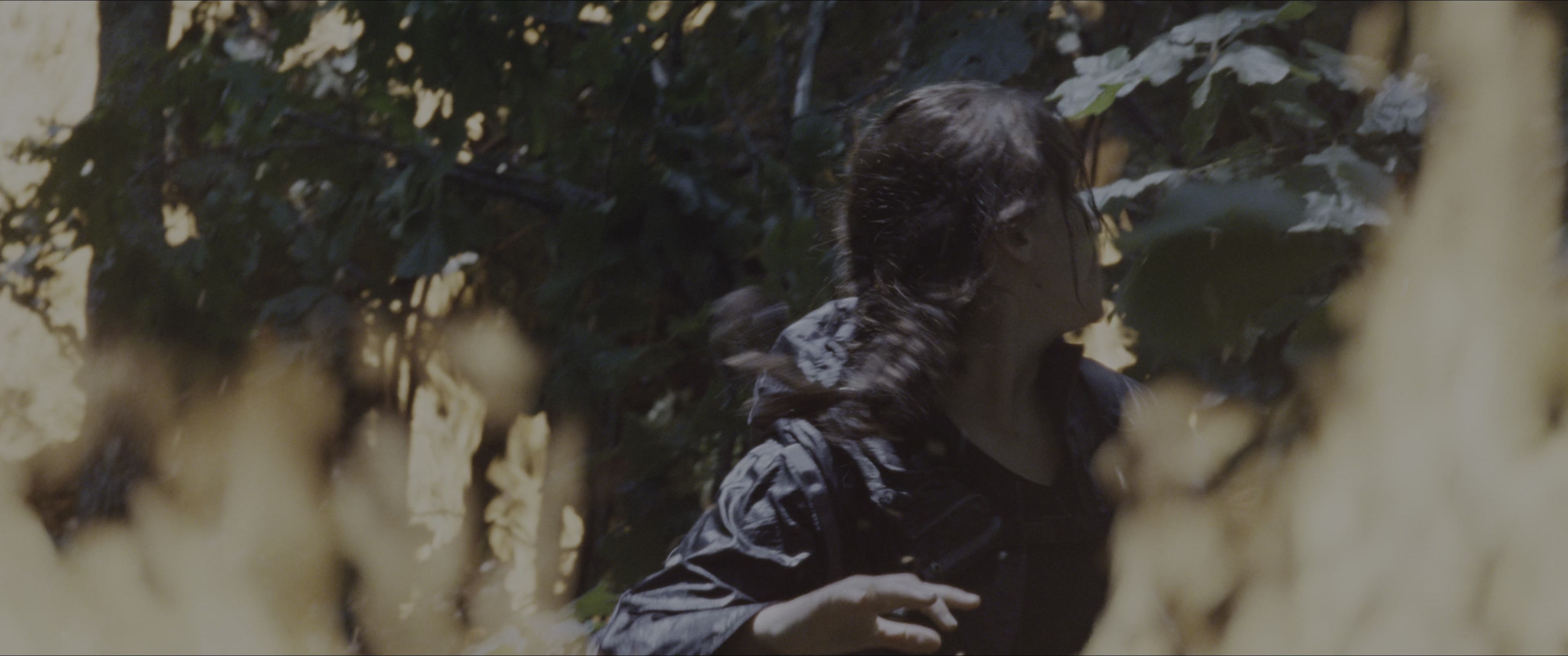 The Hunger Games (2012), wide, 2.39:1 — film still