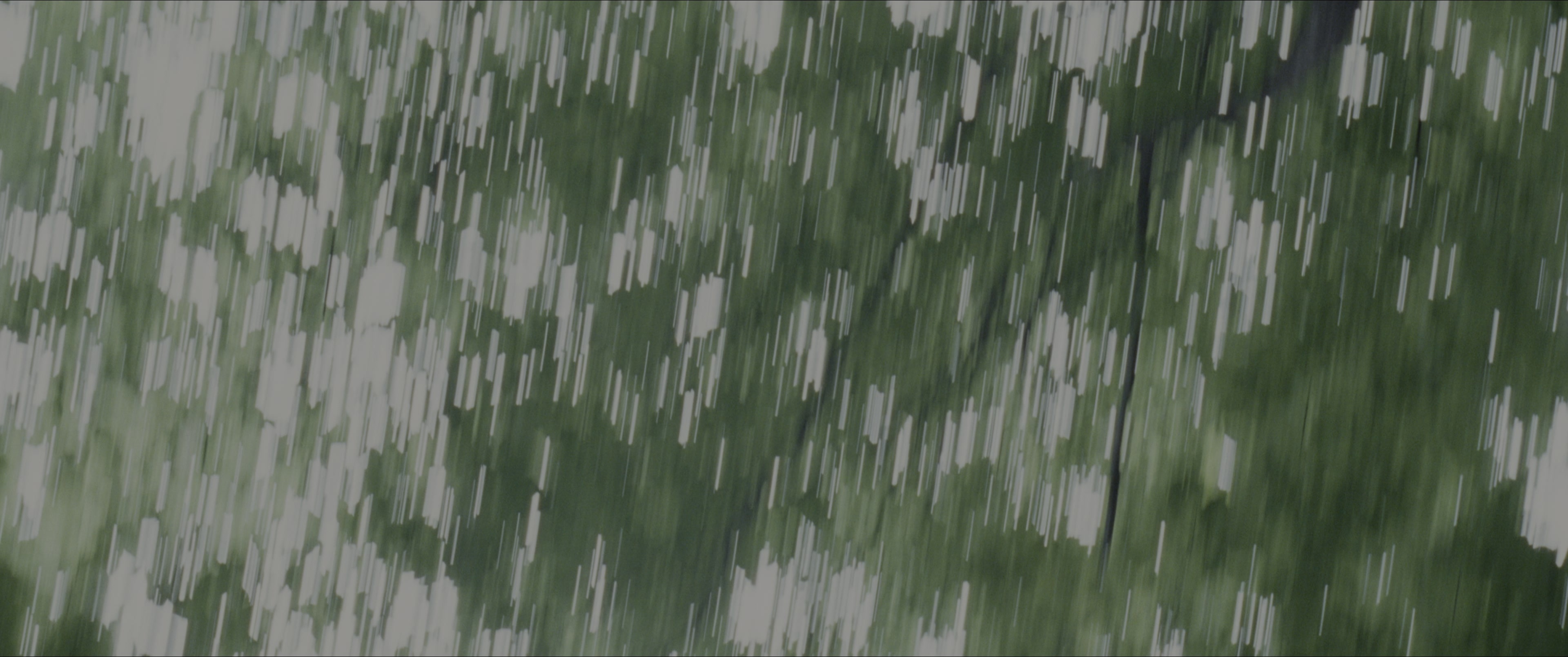 The Hunger Games (2012), wide, 2.39:1 — film still