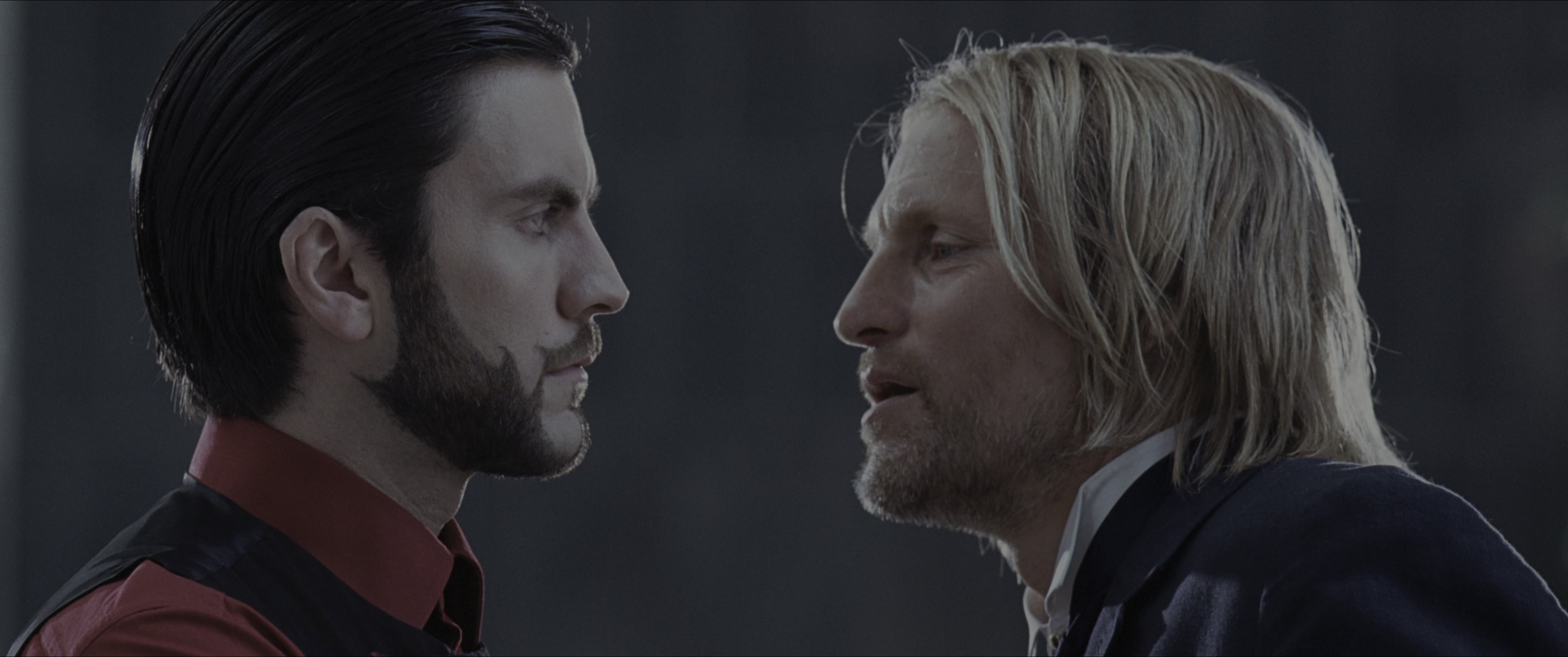 The Hunger Games (2012), medium, 2.39:1 — film still