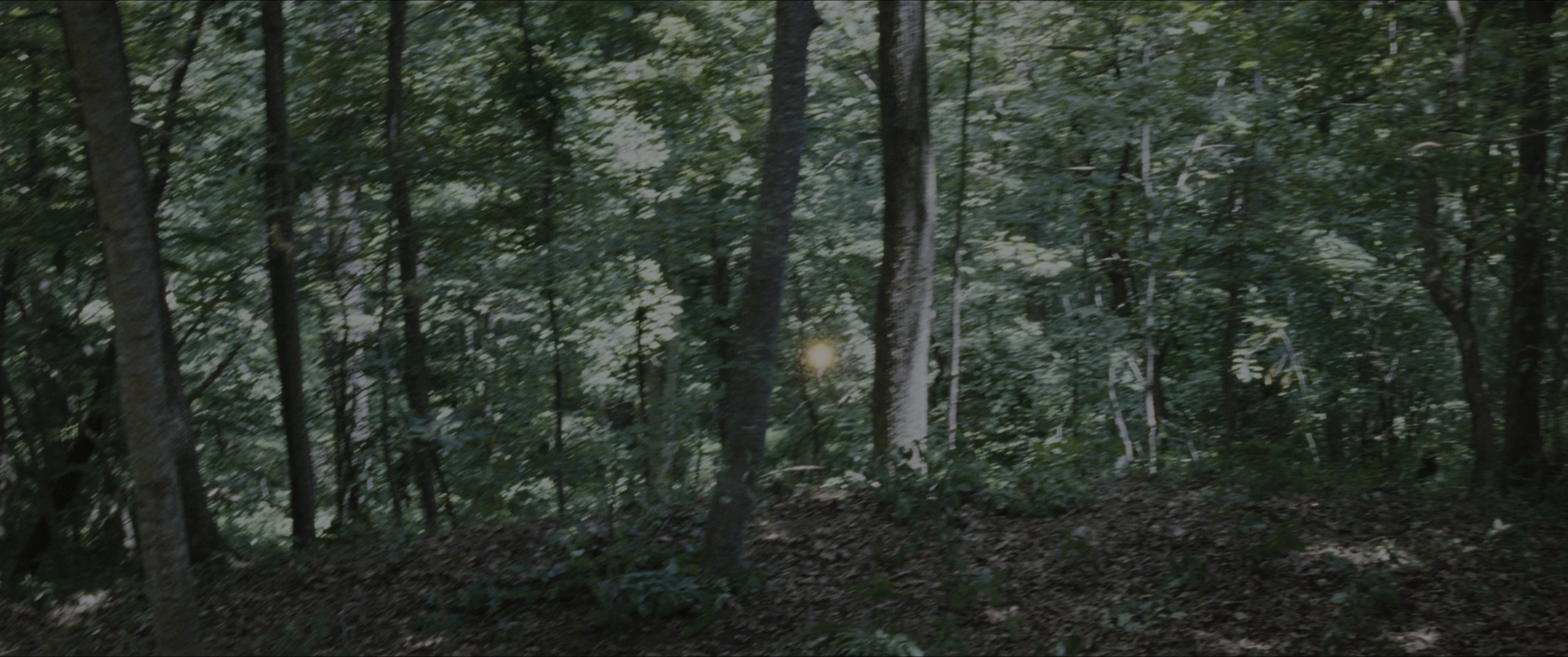 The Hunger Games (2012), wide, 2.39:1 — film still