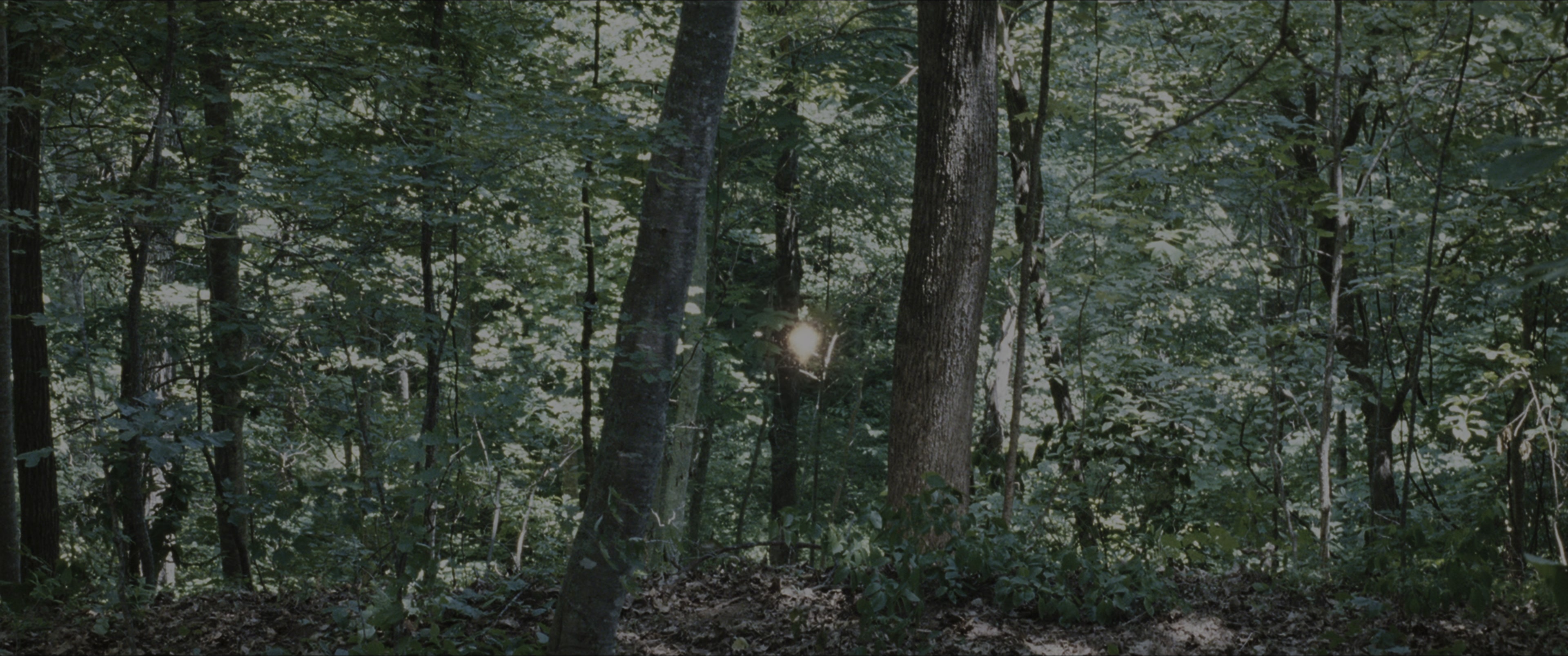 The Hunger Games (2012), wide, 2.39:1 — film still