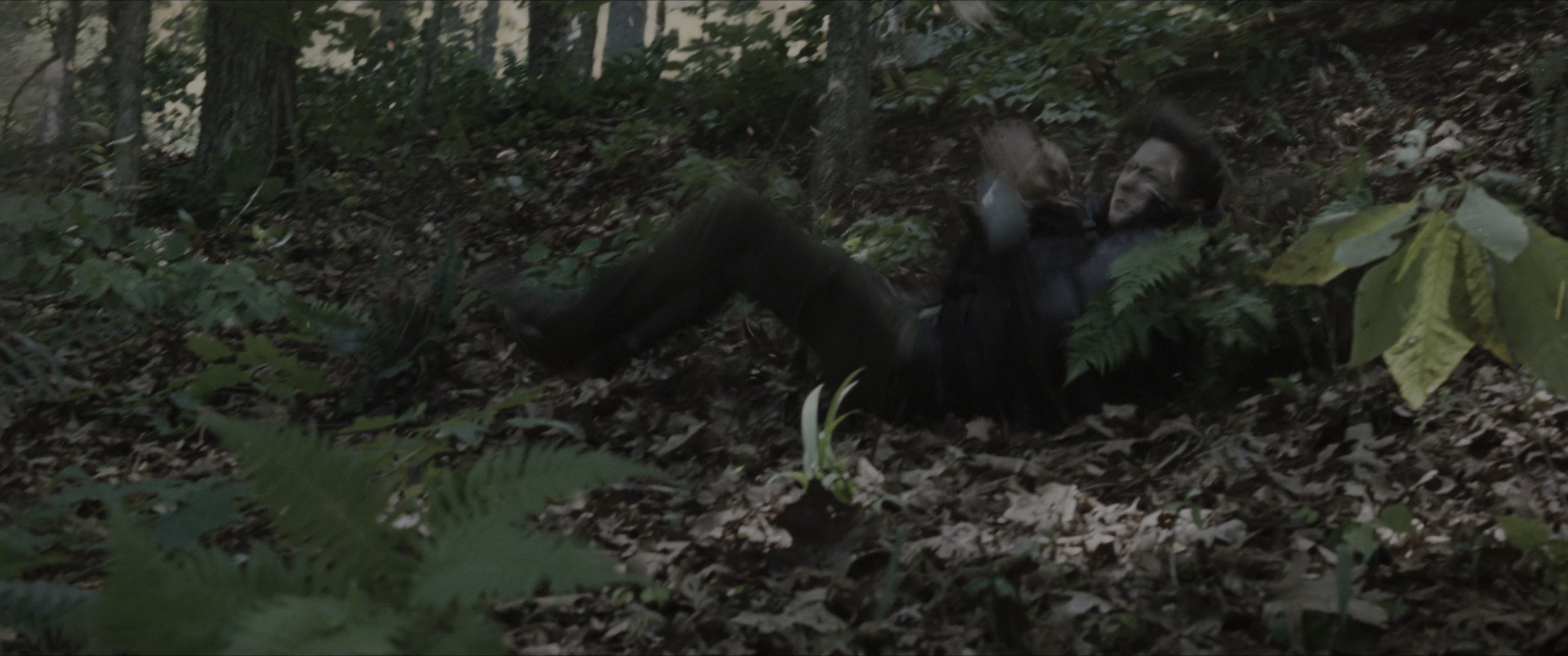 The Hunger Games (2012), wide, 2.39:1 — film still