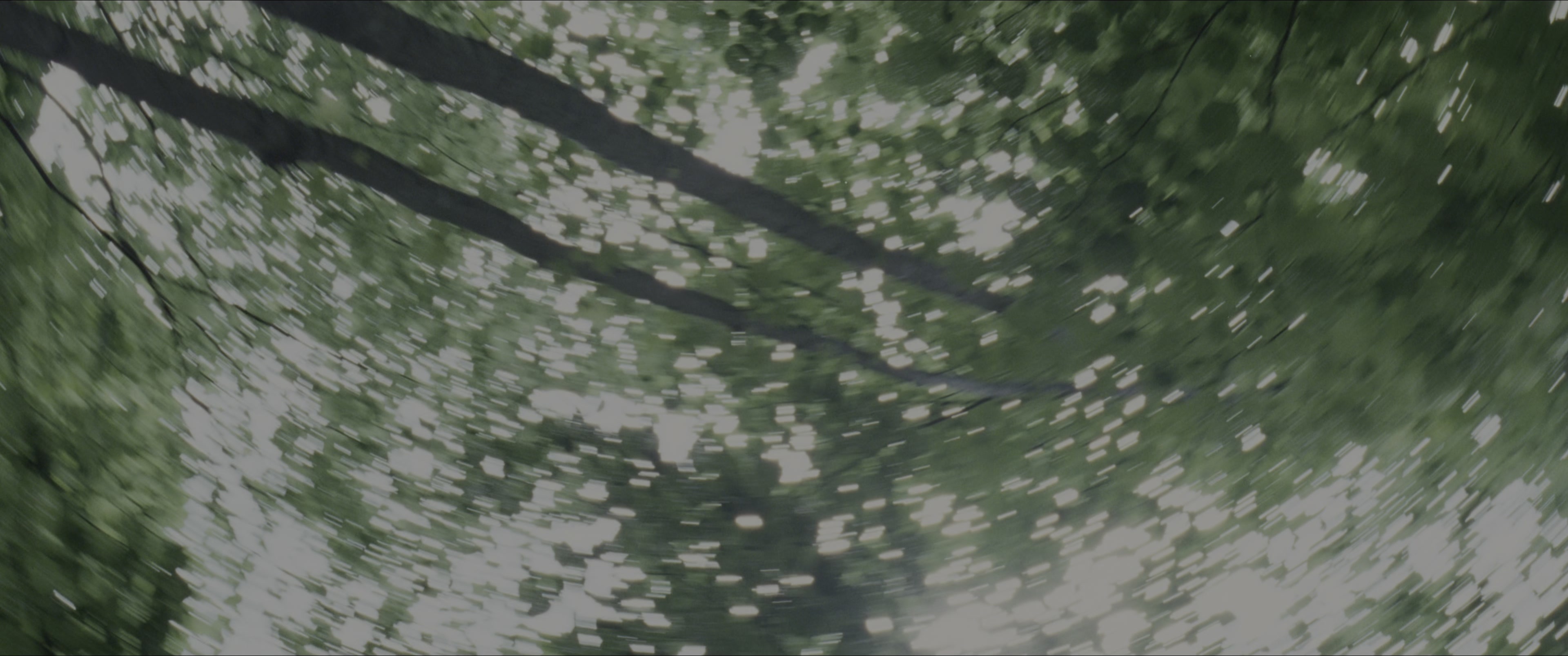 The Hunger Games (2012), wide, 2.39:1 — film still