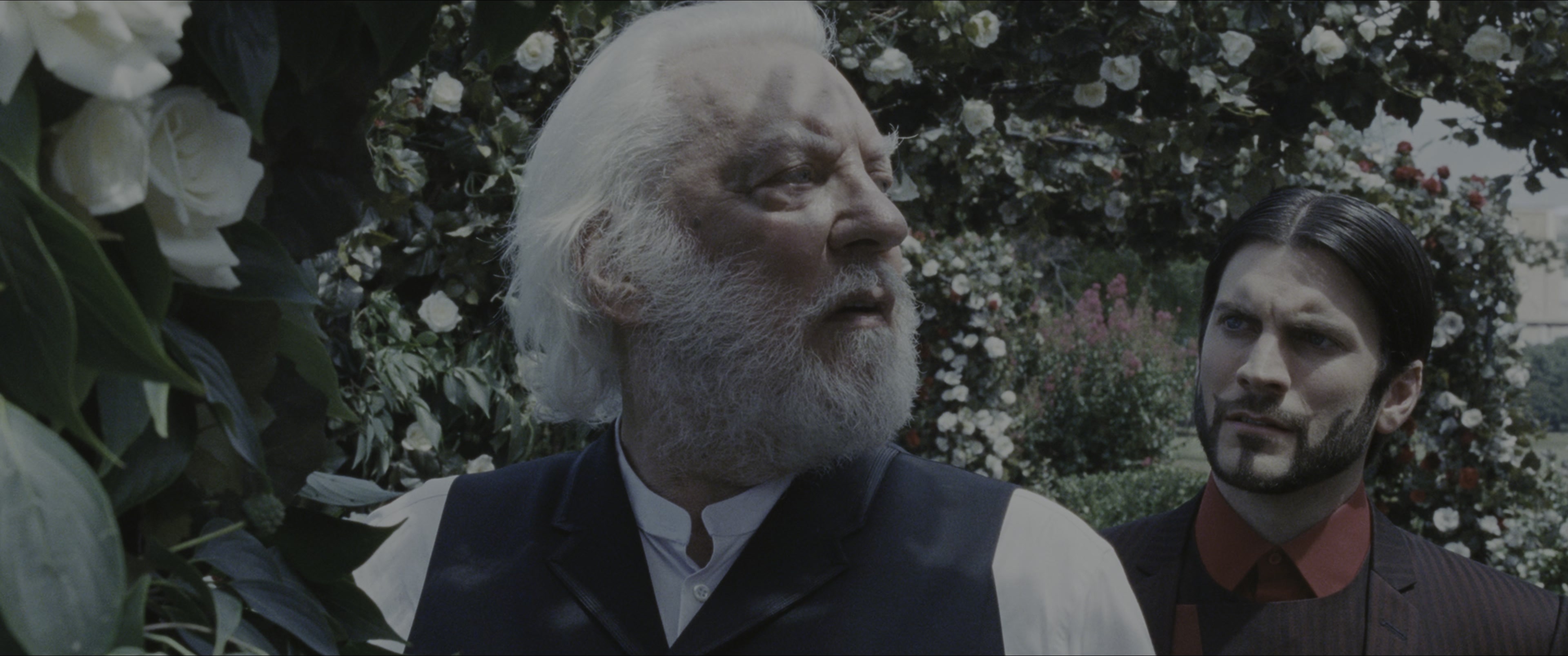 The Hunger Games (2012), wide, 2.39:1 — film still